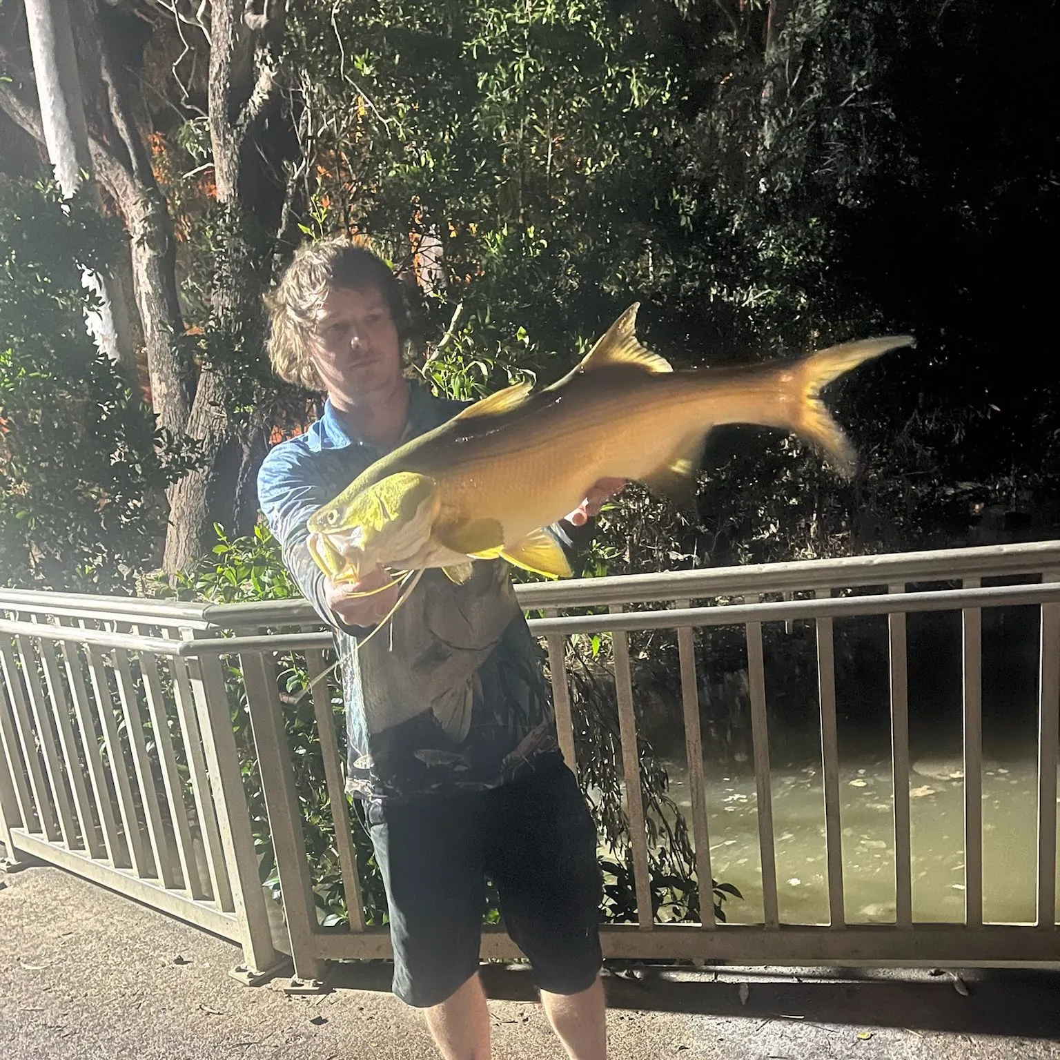 The most recent King threadfin catches on Fishbrain