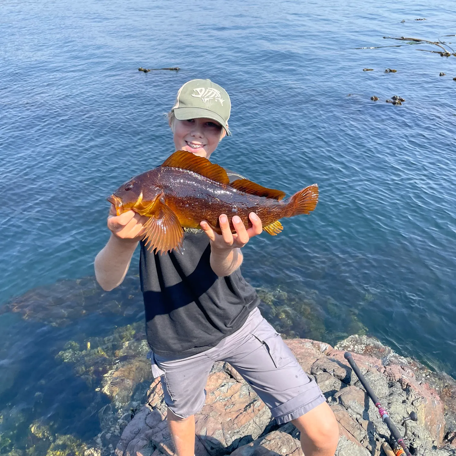 Kelp greenling caught on Fishbrain