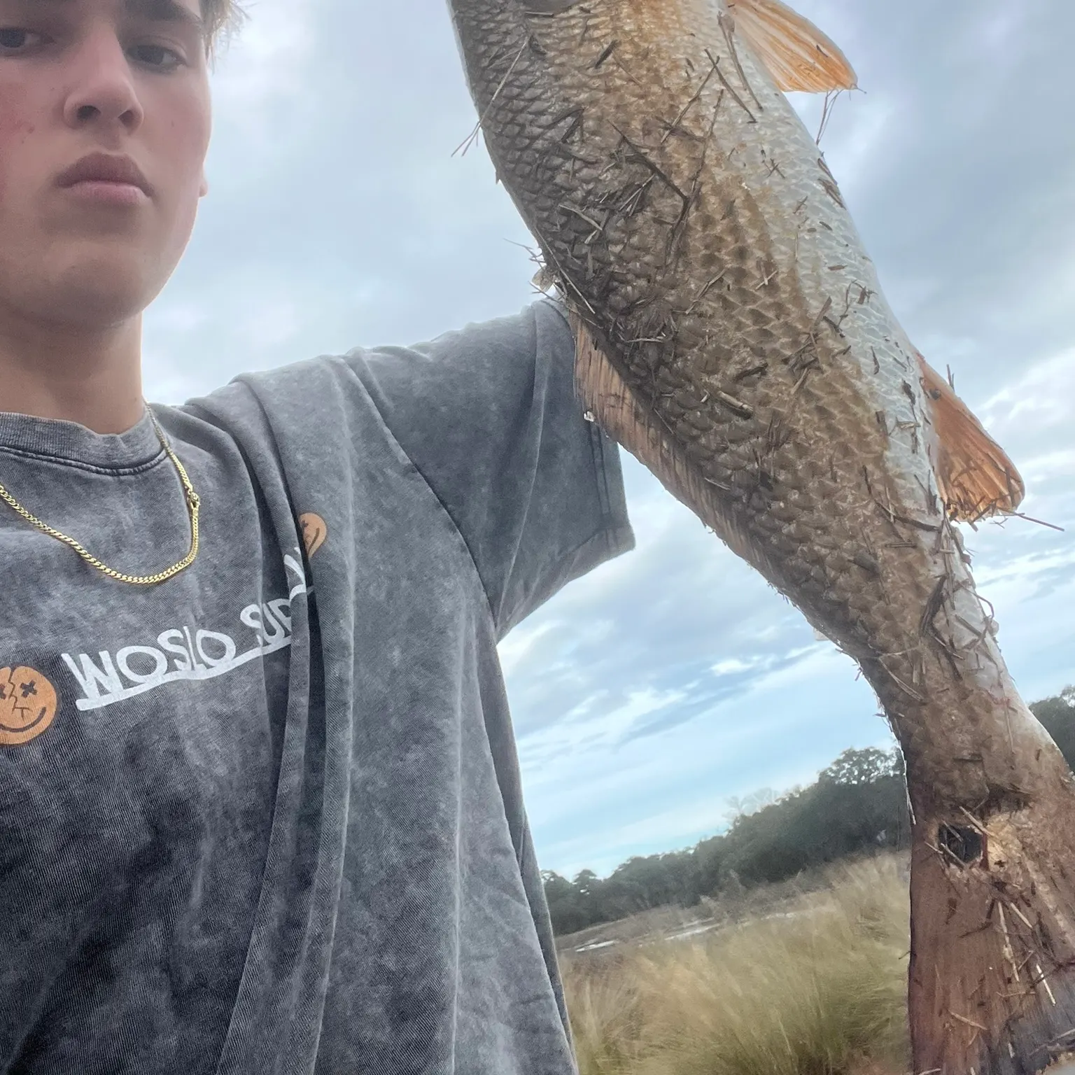 The most recent Red drum catches on Fishbrain