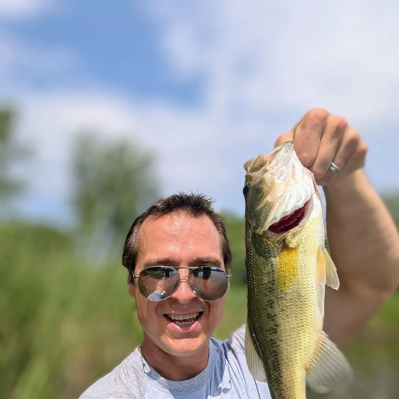 Largemouth bass caught on Fishbrain