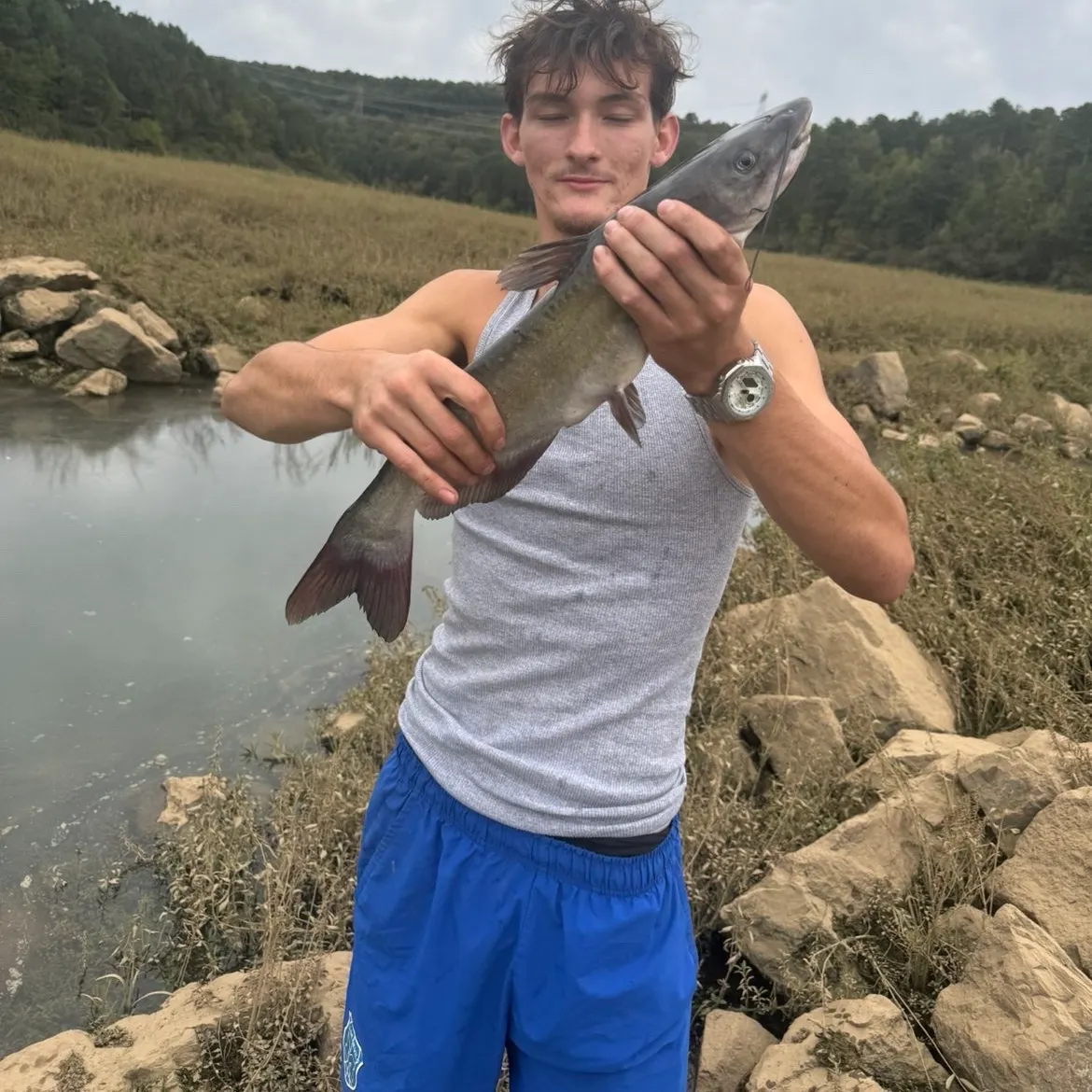 Channel catfish caught on Fishbrain