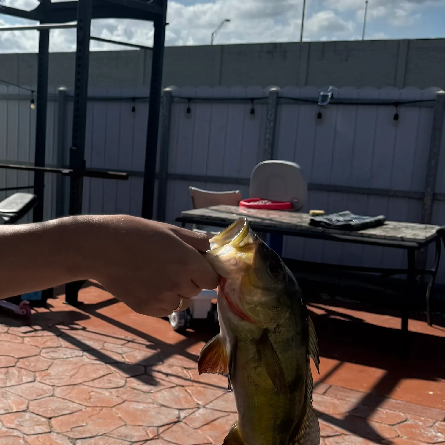 catch