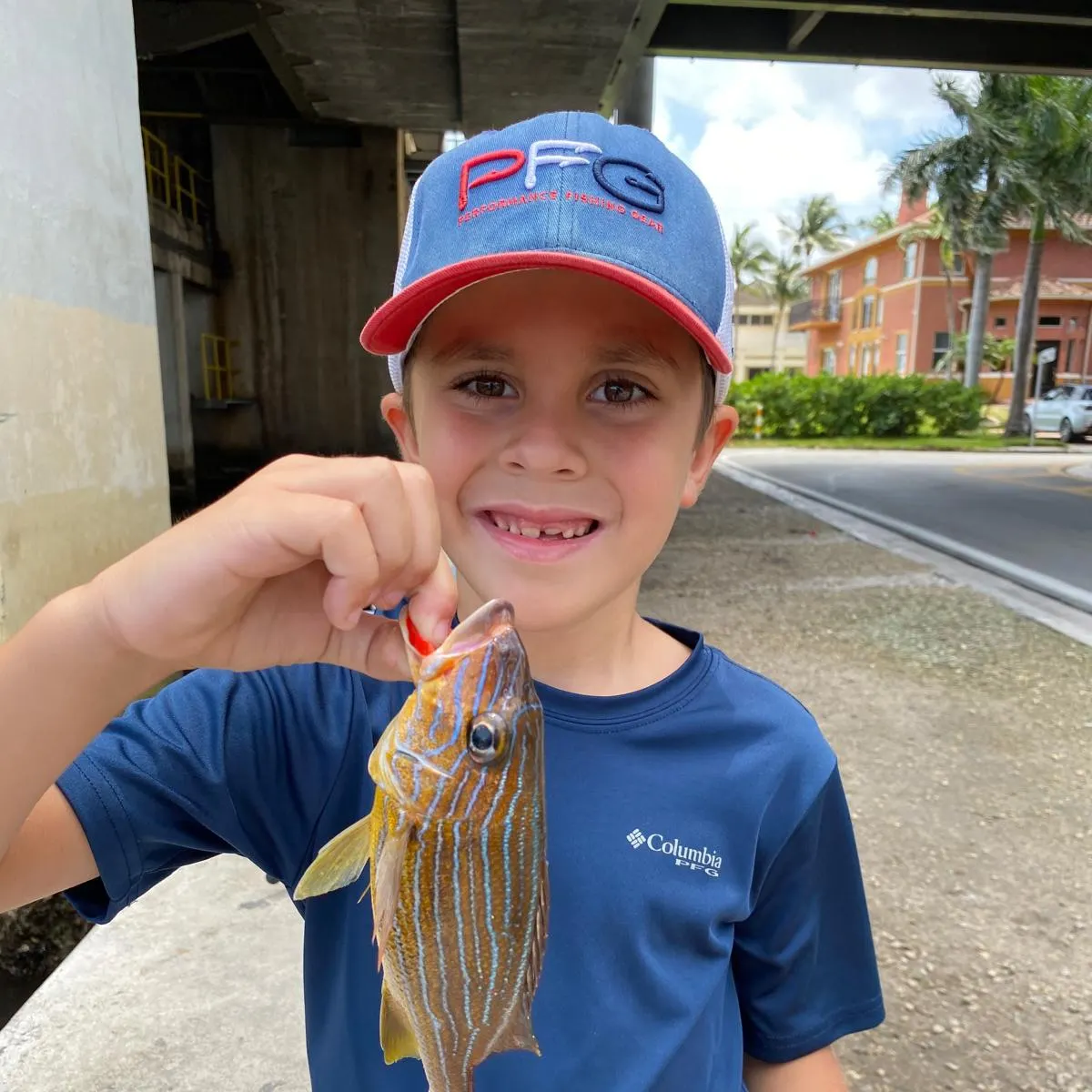 The most recent Bluestriped grunt catches on Fishbrain
