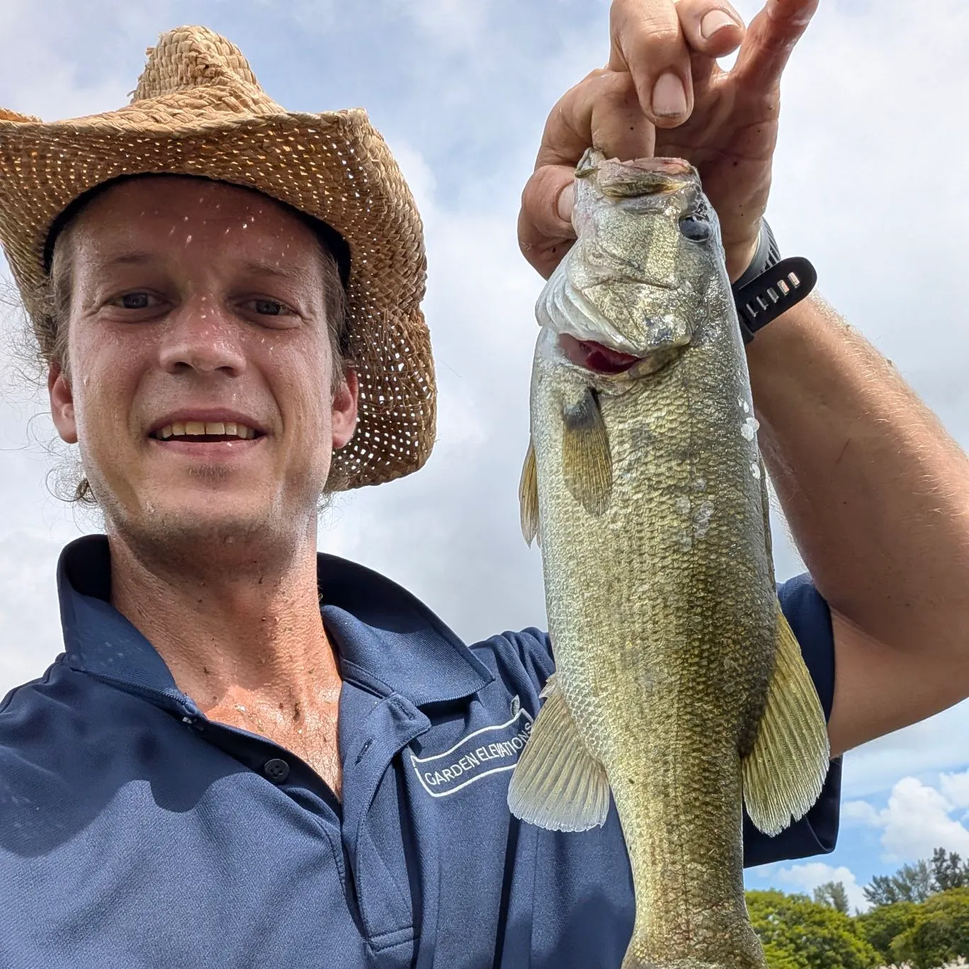 Largemouth bass caught on Fishbrain
