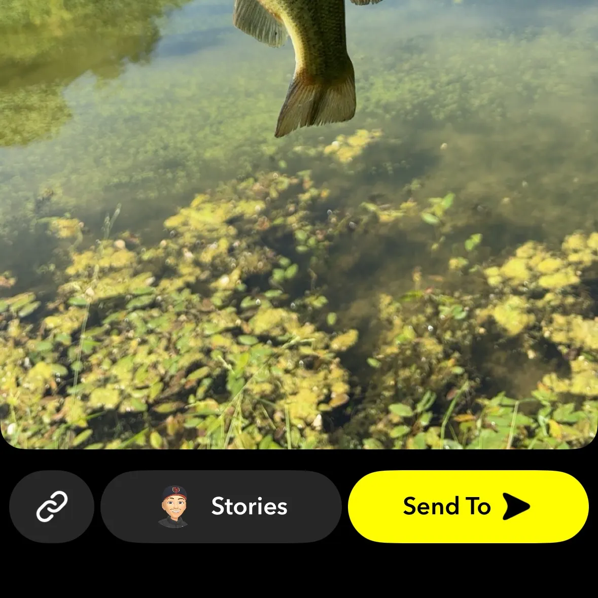 Largemouth bass caught on Fishbrain