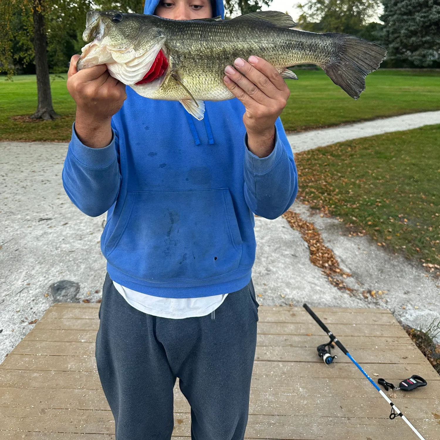 Largemouth bass caught on Fishbrain