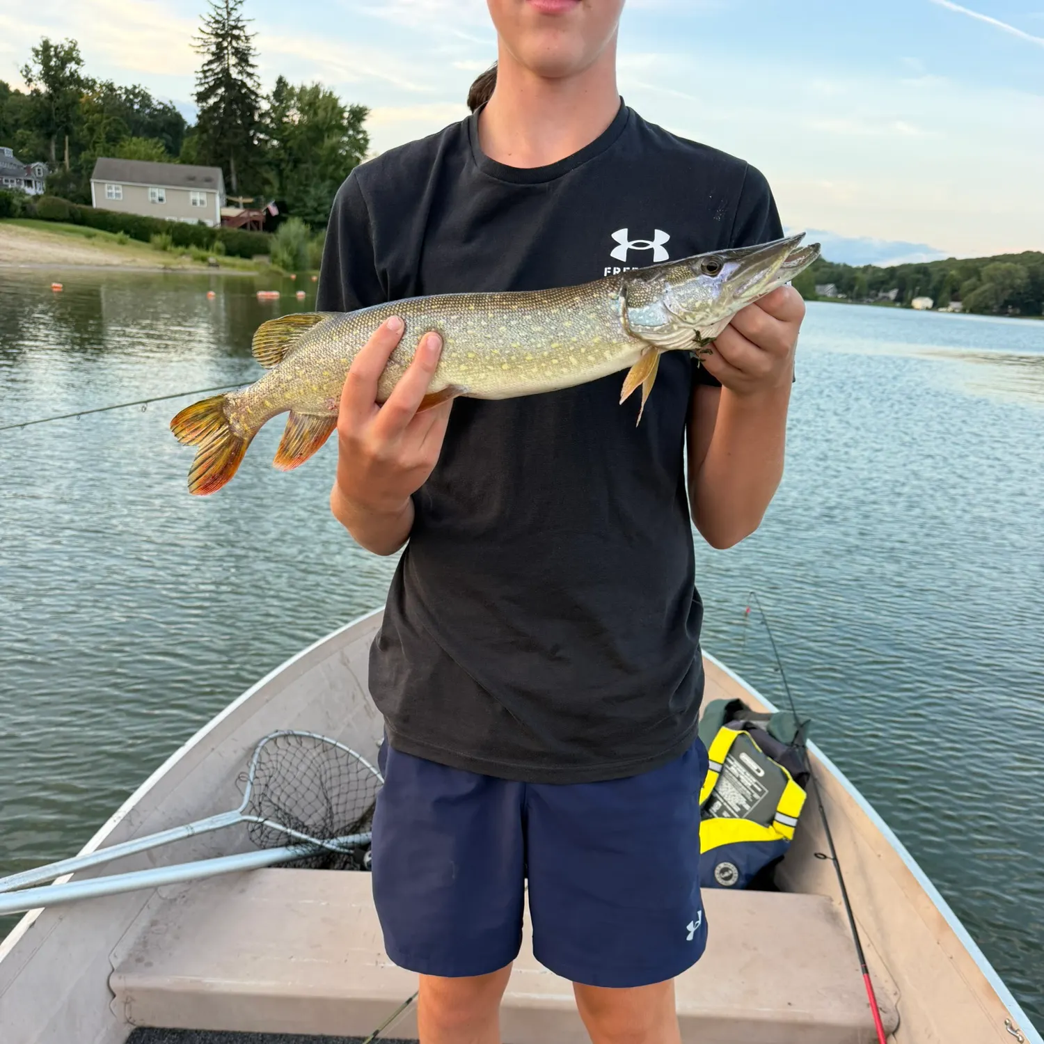 Northern pike caught on Fishbrain