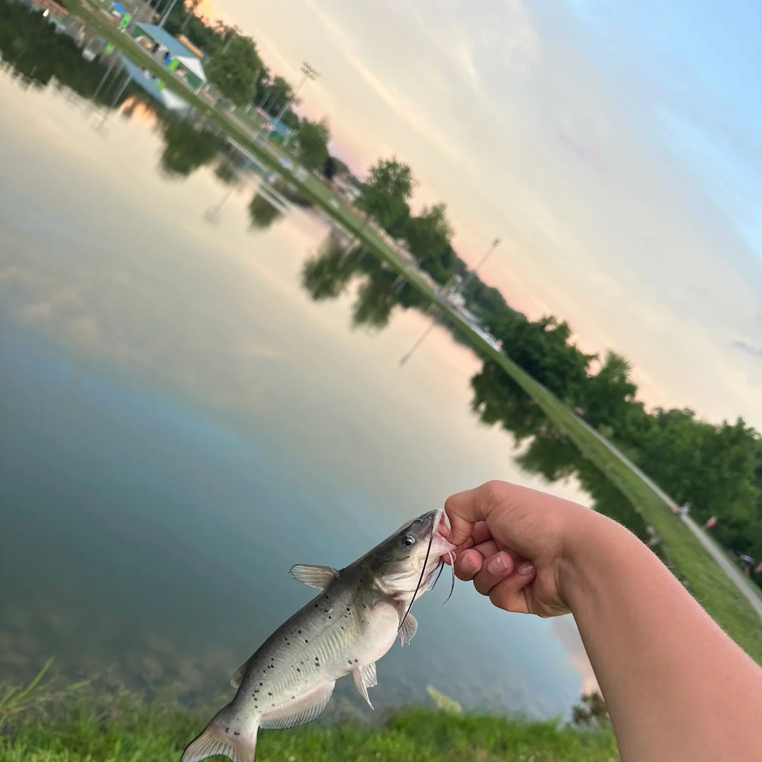 catch