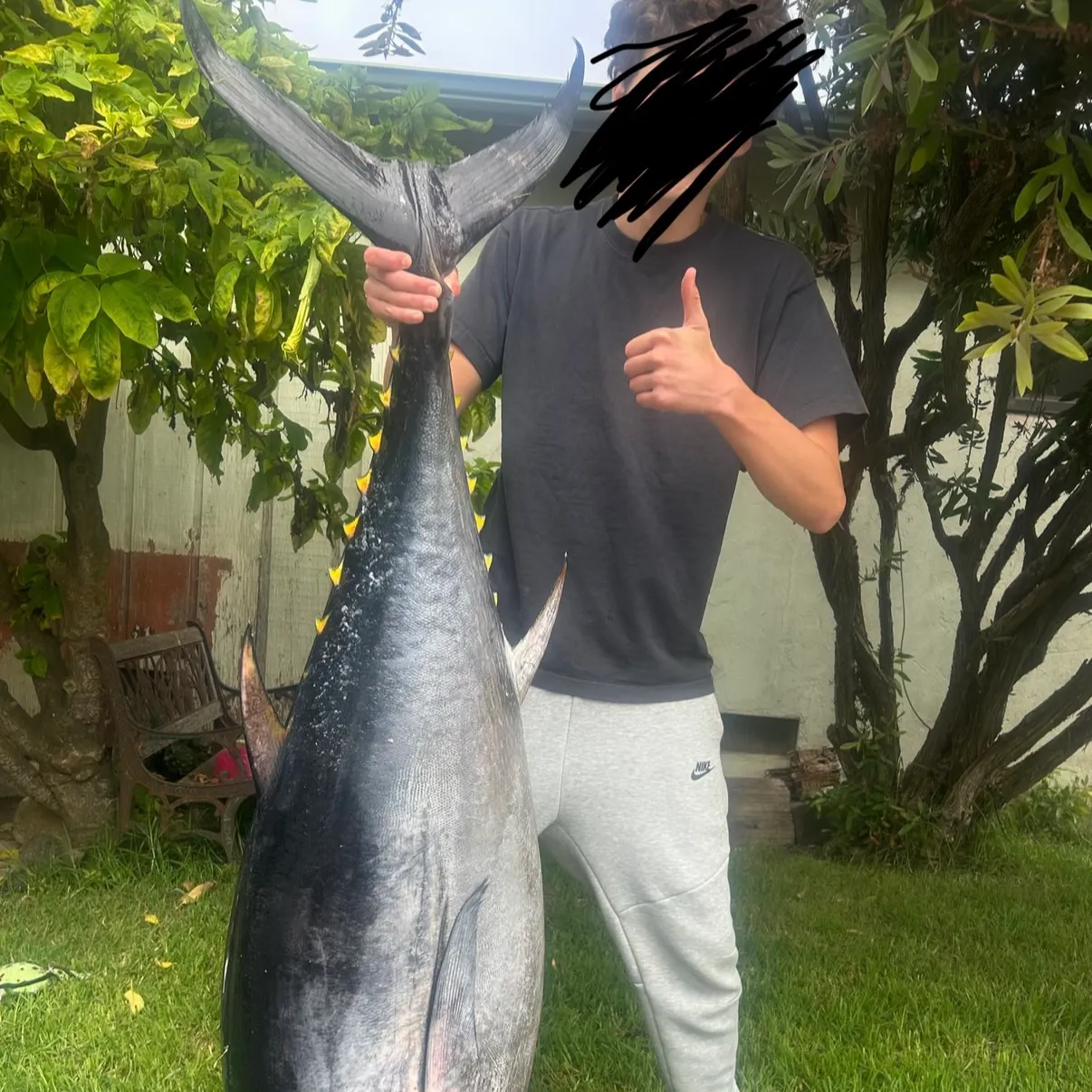 The most recent Pacific bluefin tuna catches on Fishbrain