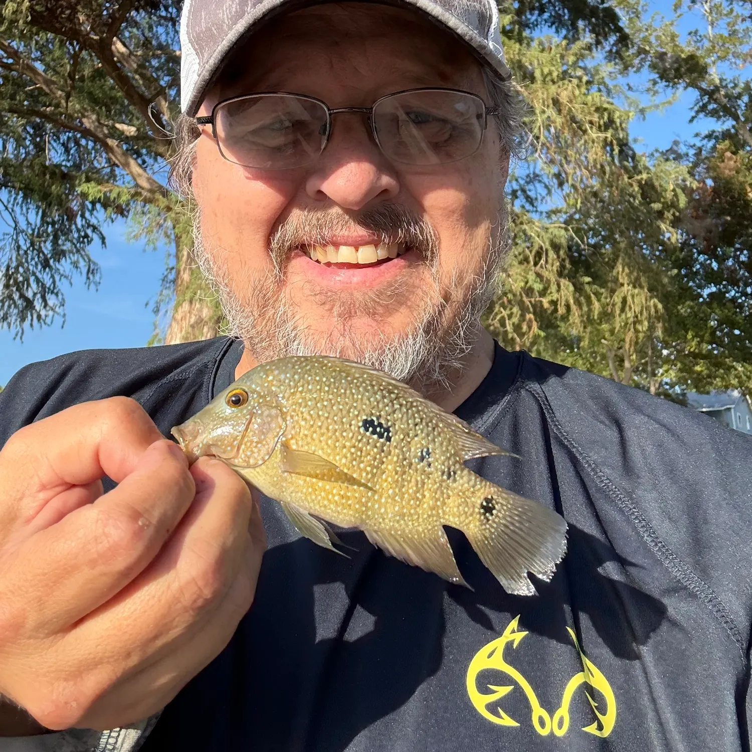 Rio Grande cichlid caught on Fishbrain