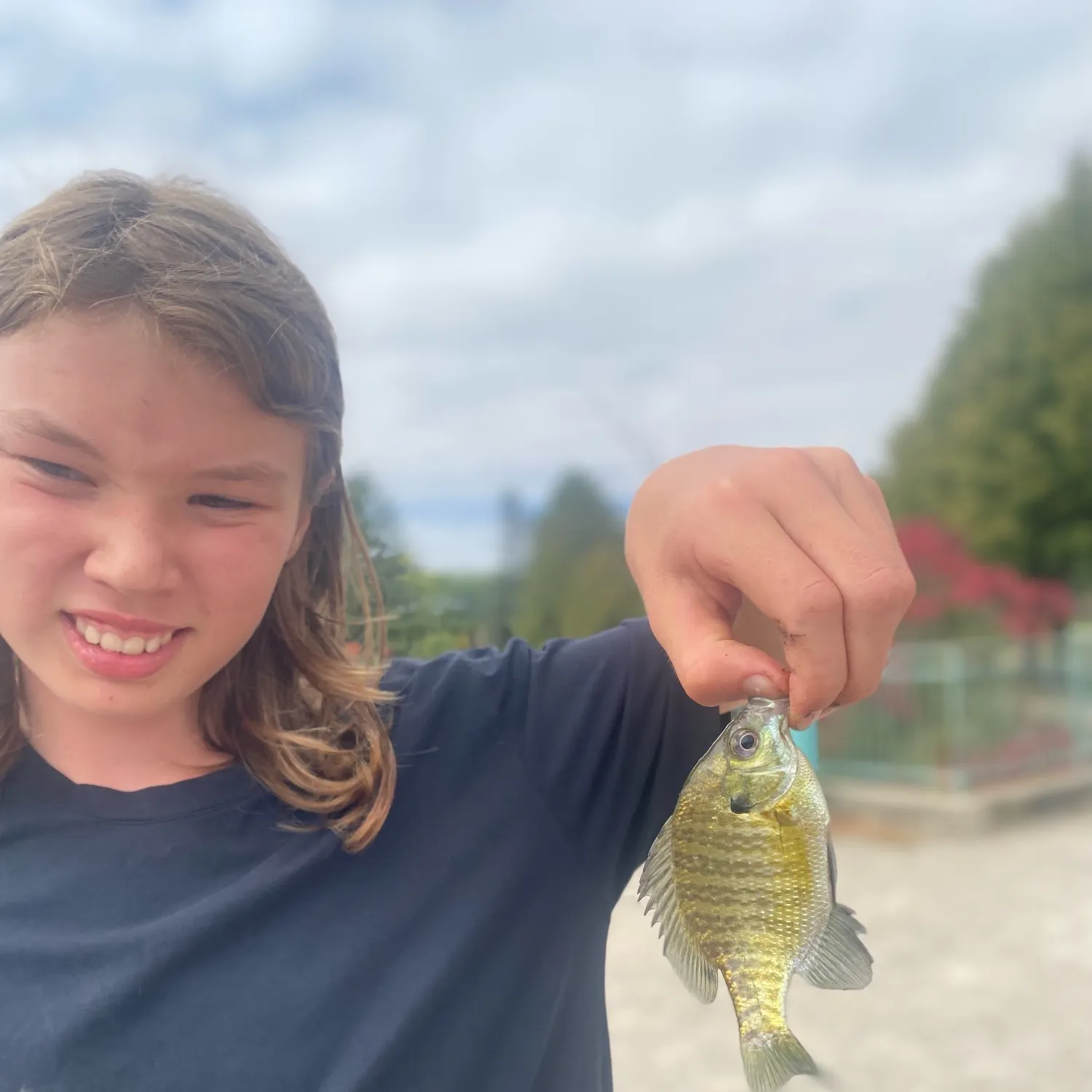 Bluegill caught on Fishbrain