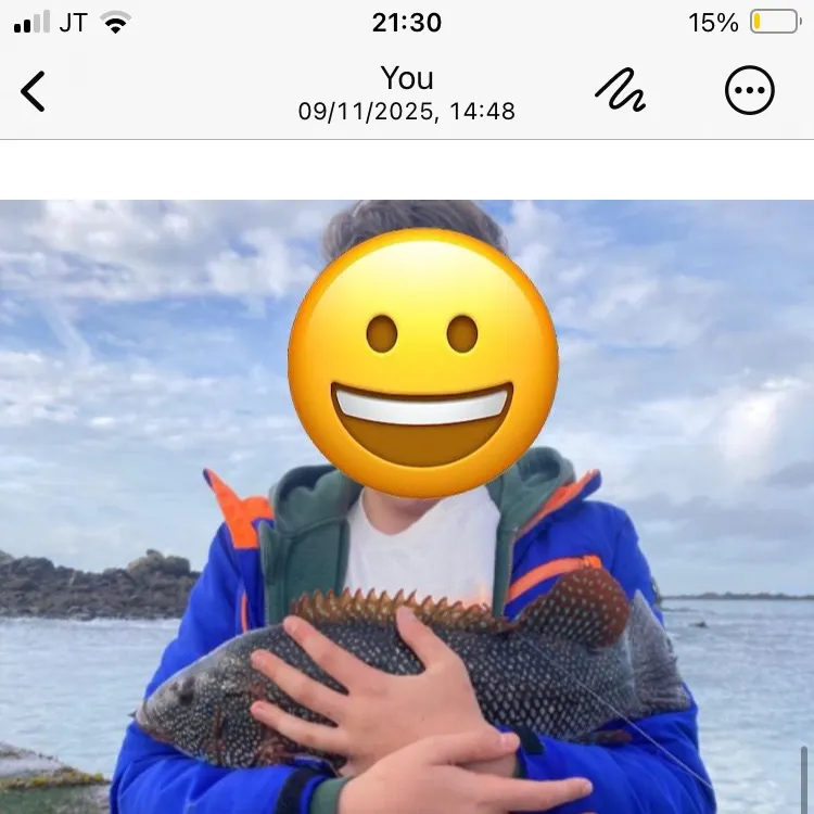 The most recent Ballan wrasse catches on Fishbrain