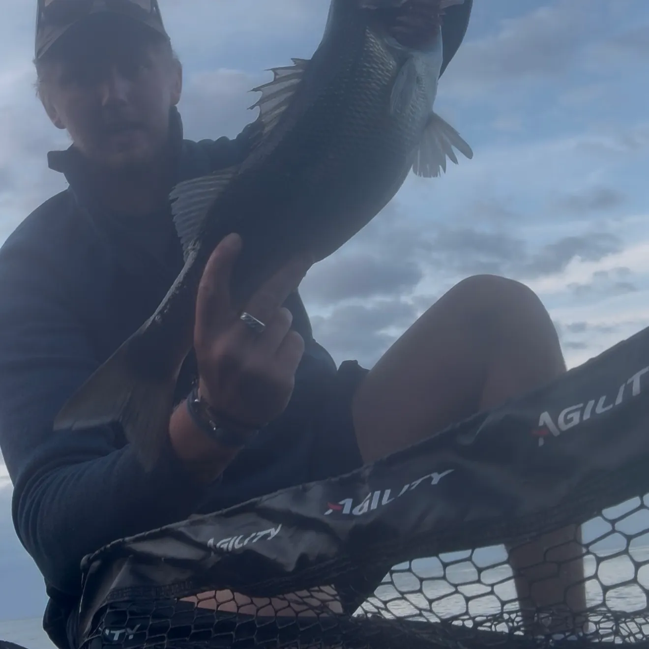 European seabass caught on Fishbrain