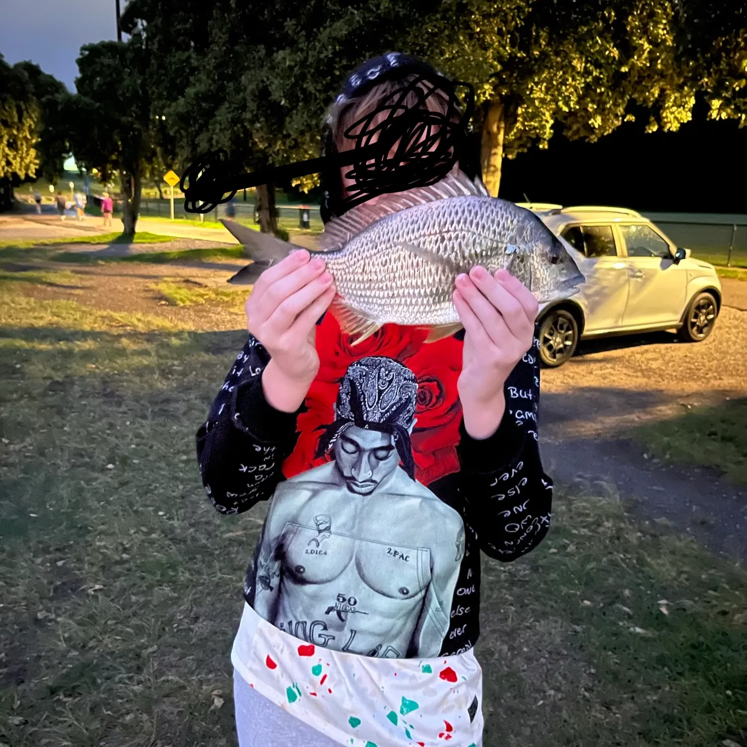 The most recent Pacific seabream catches on Fishbrain