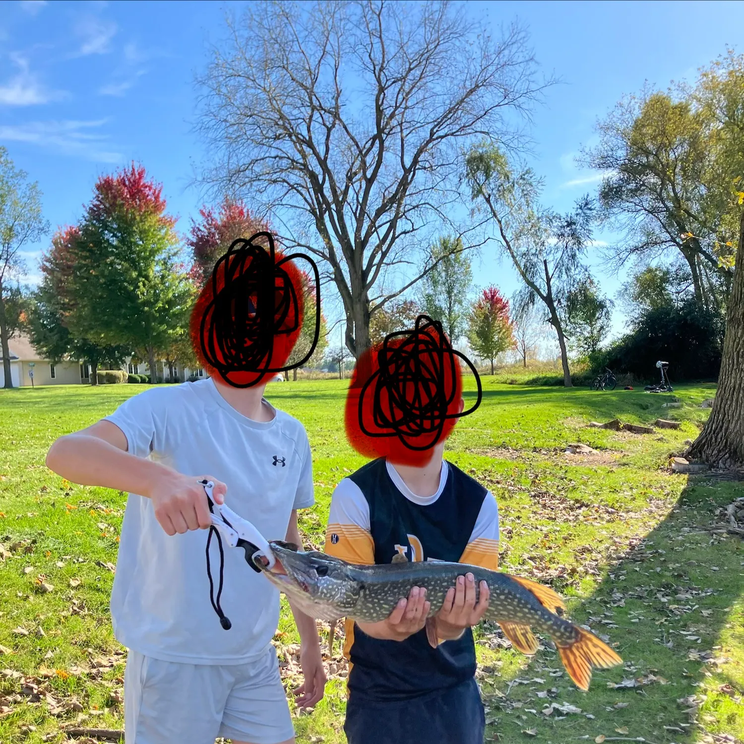 Northern pike caught on Fishbrain