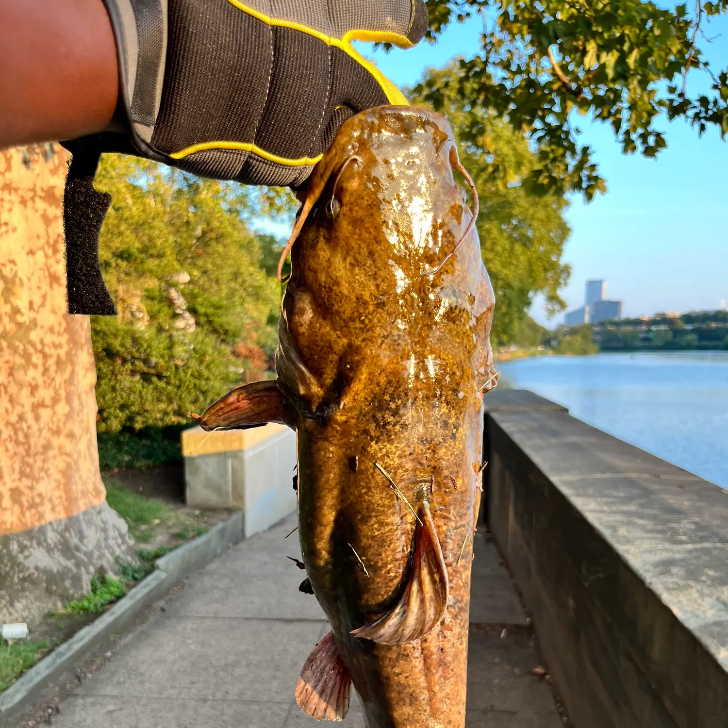 catch