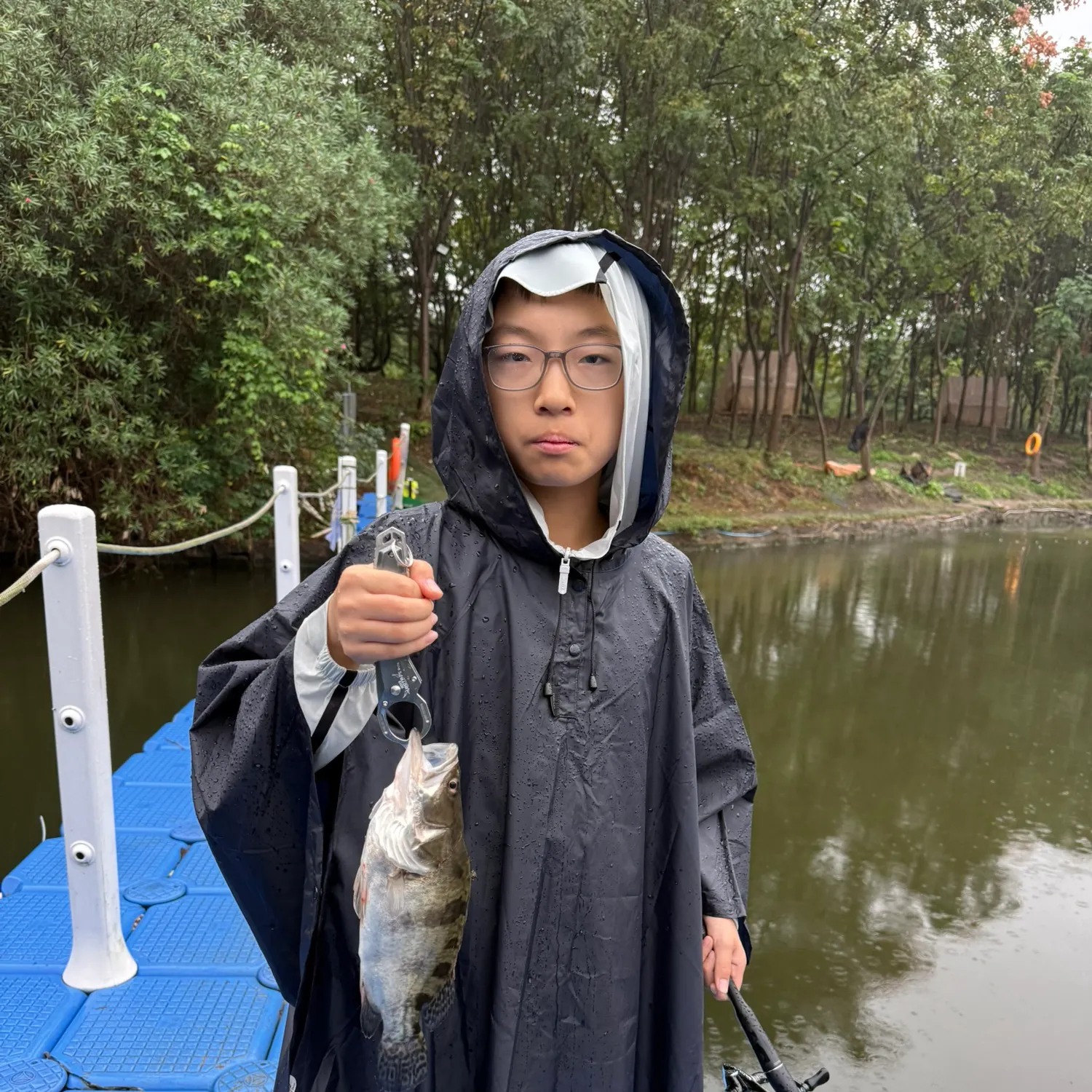 Leopard mandarin fish caught on Fishbrain