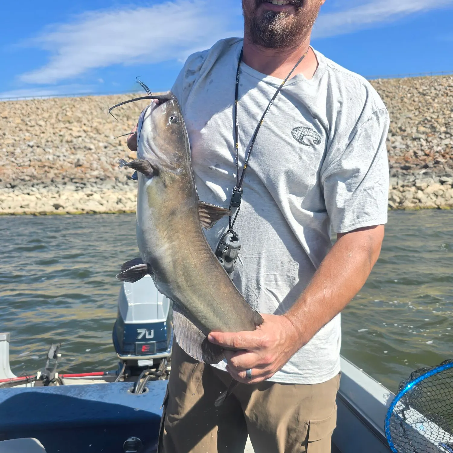 Channel catfish caught on Fishbrain