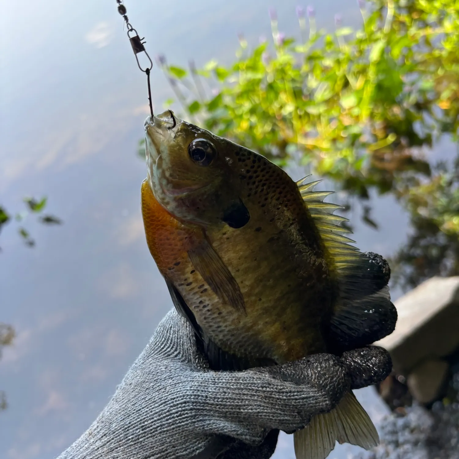 catch