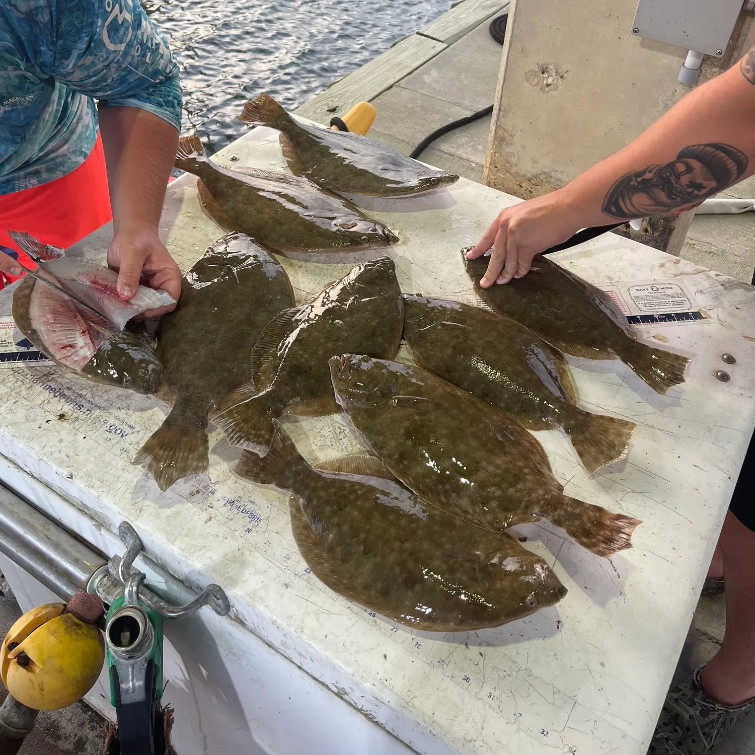 recently logged catches