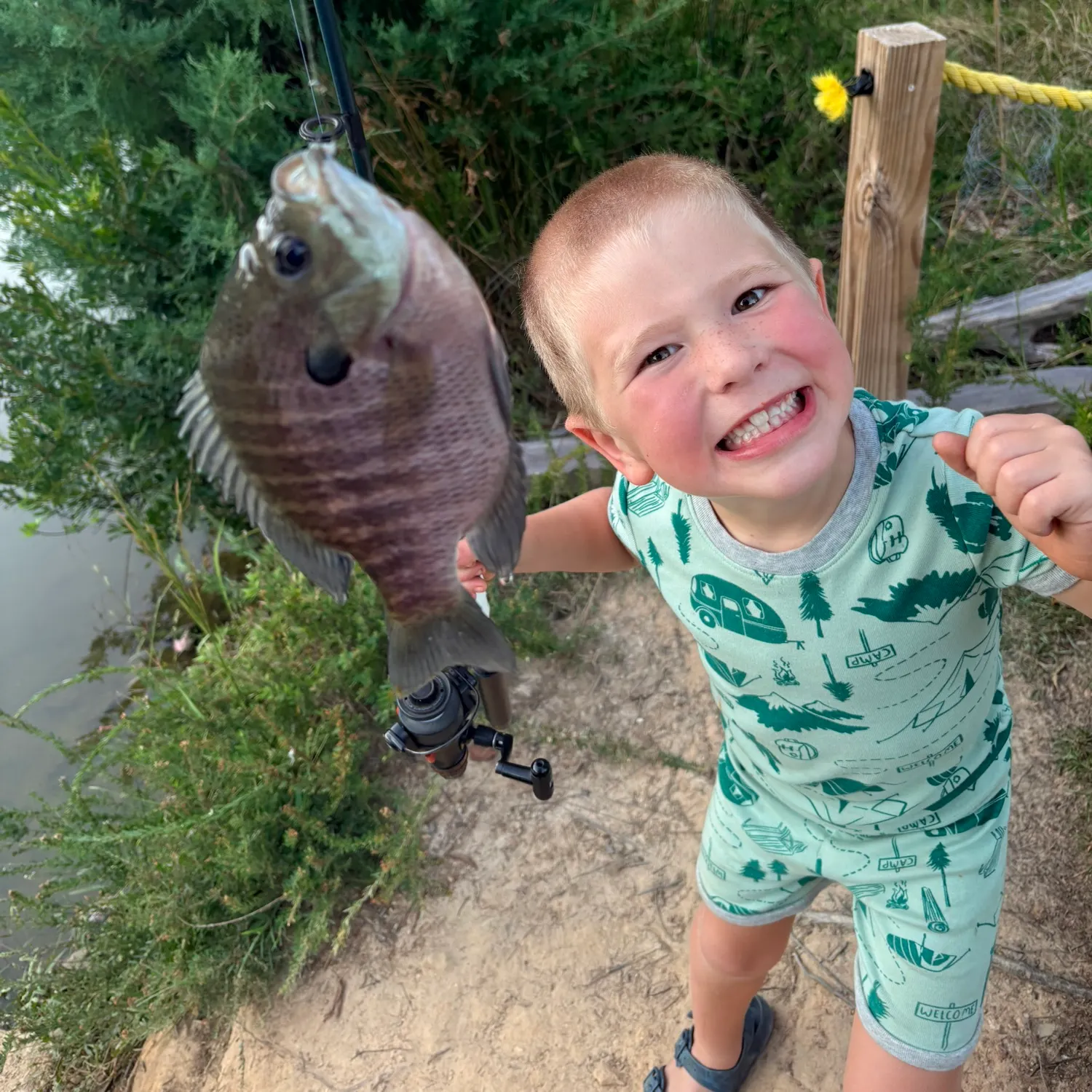 Bluegill caught on Fishbrain