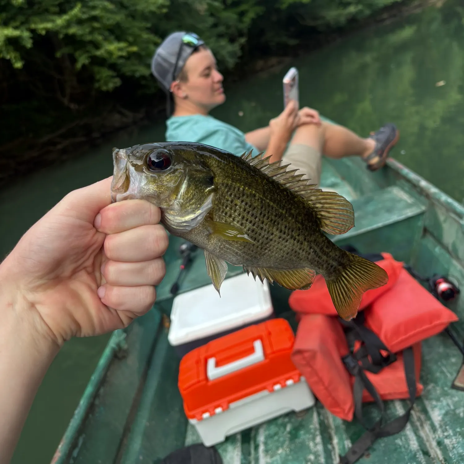 catch