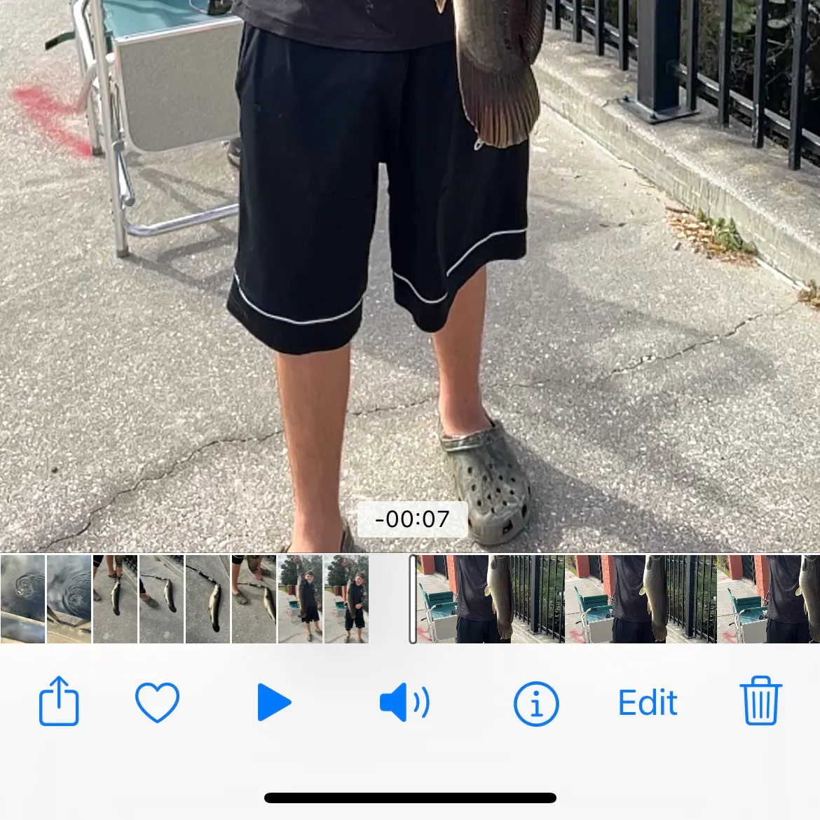 recently logged catches