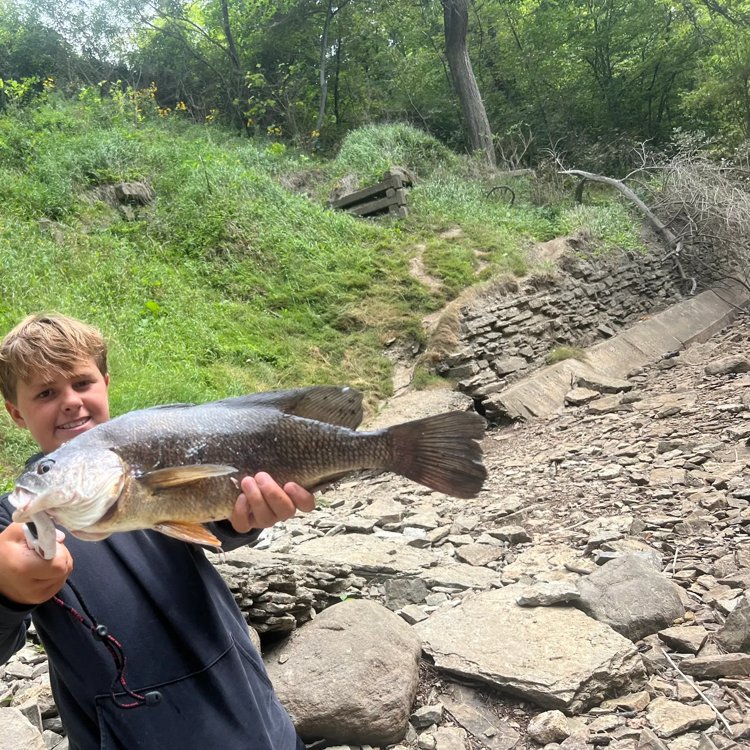 Freshwater drum caught on Fishbrain