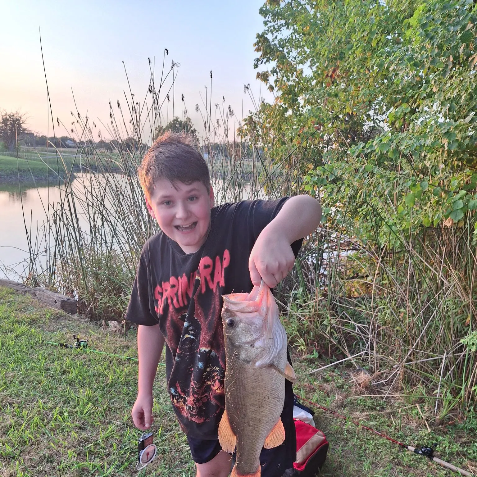 Largemouth bass caught on Fishbrain