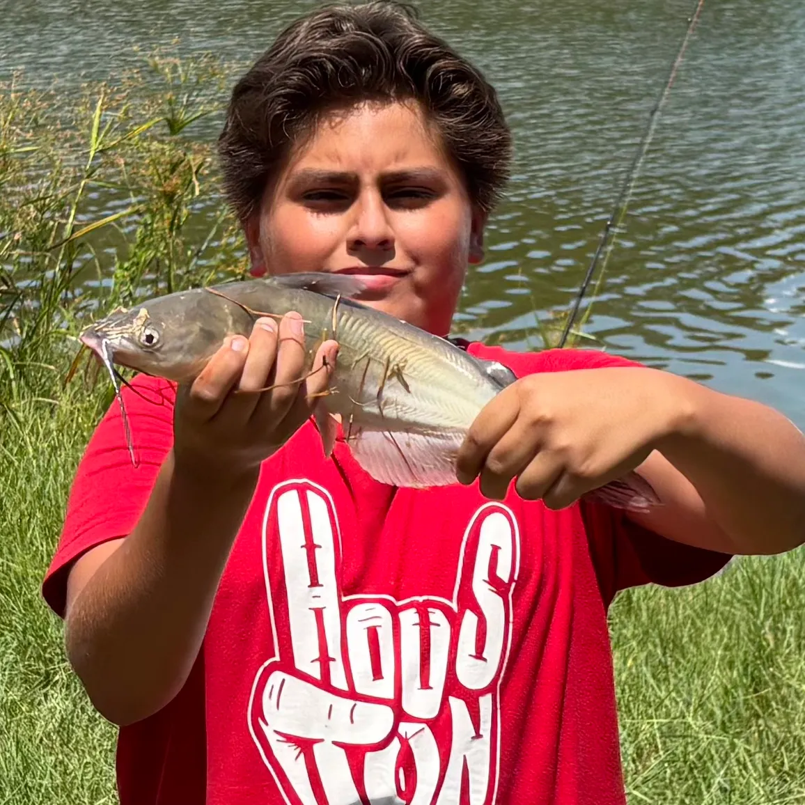 Channel catfish caught on Fishbrain