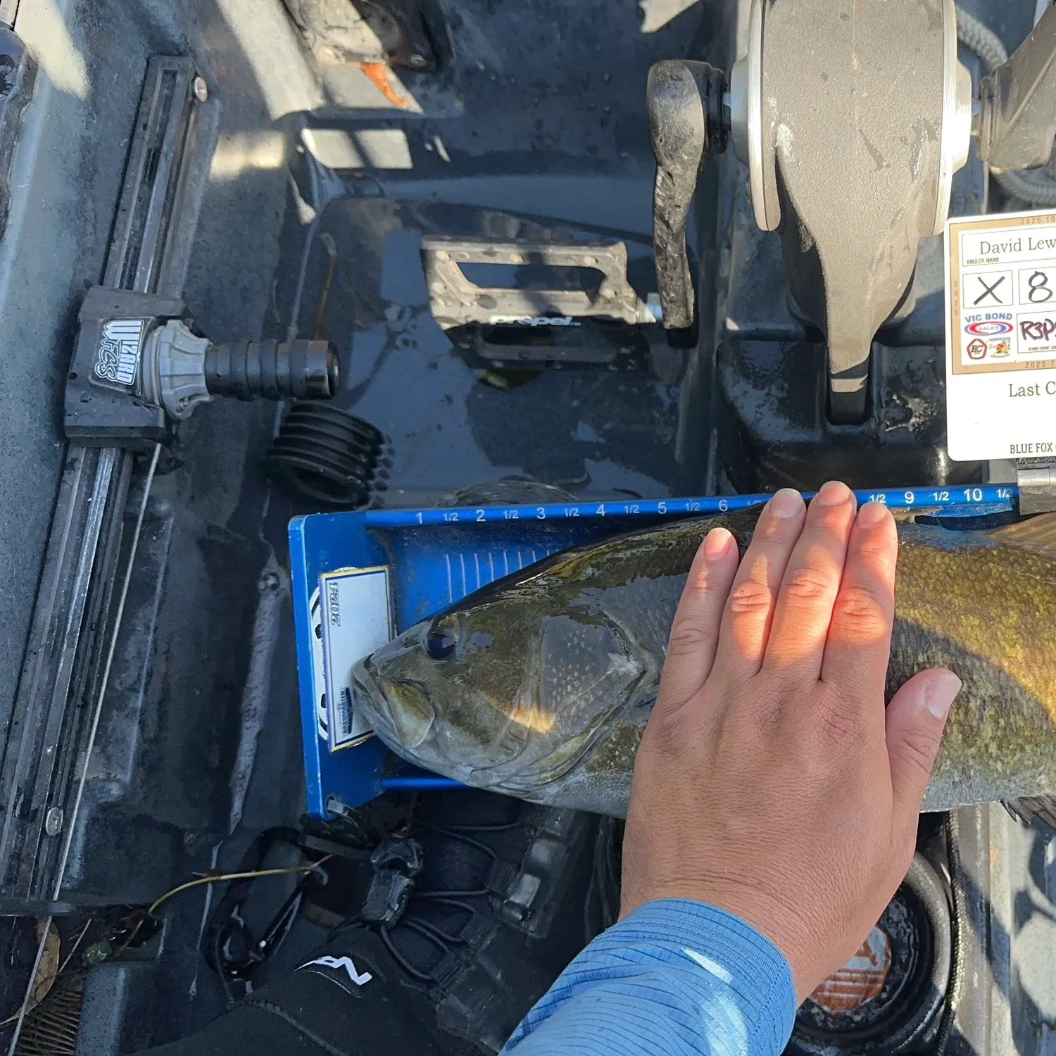 recently logged catches