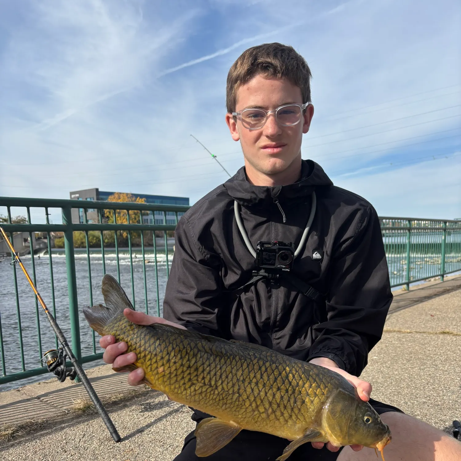 Common carp caught on Fishbrain