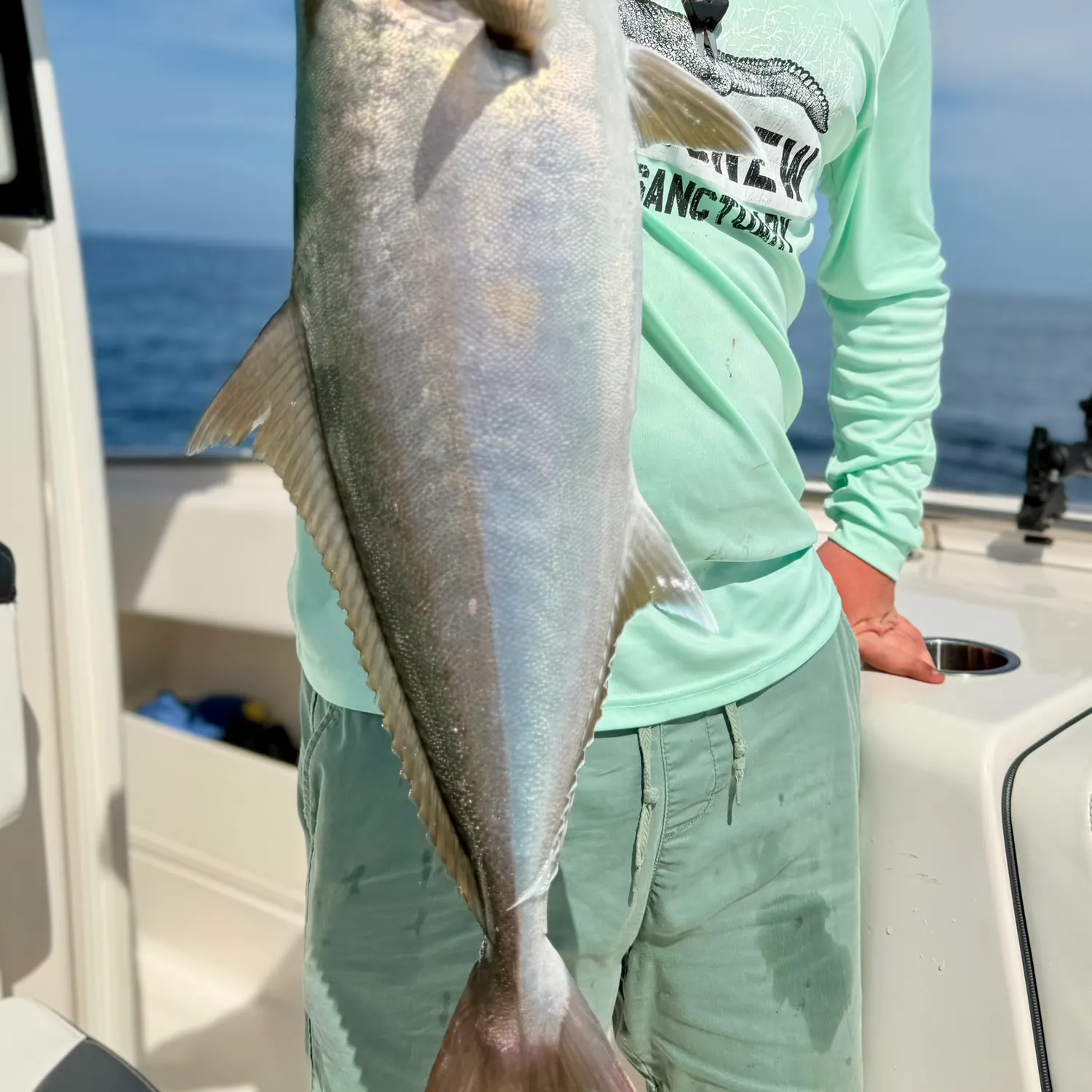 The most recent Greater amberjack catches on Fishbrain