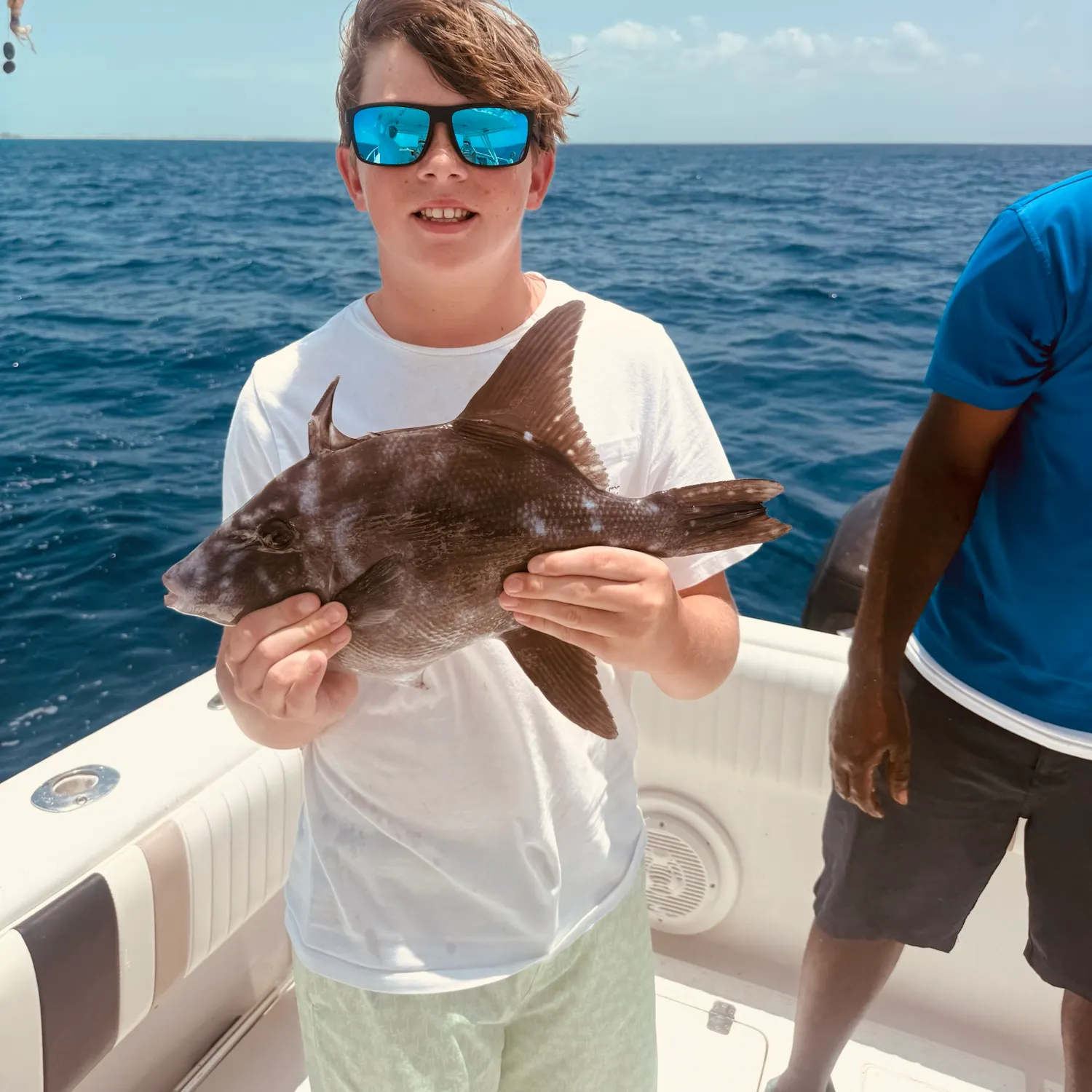 The most recent Grey triggerfish catches on Fishbrain
