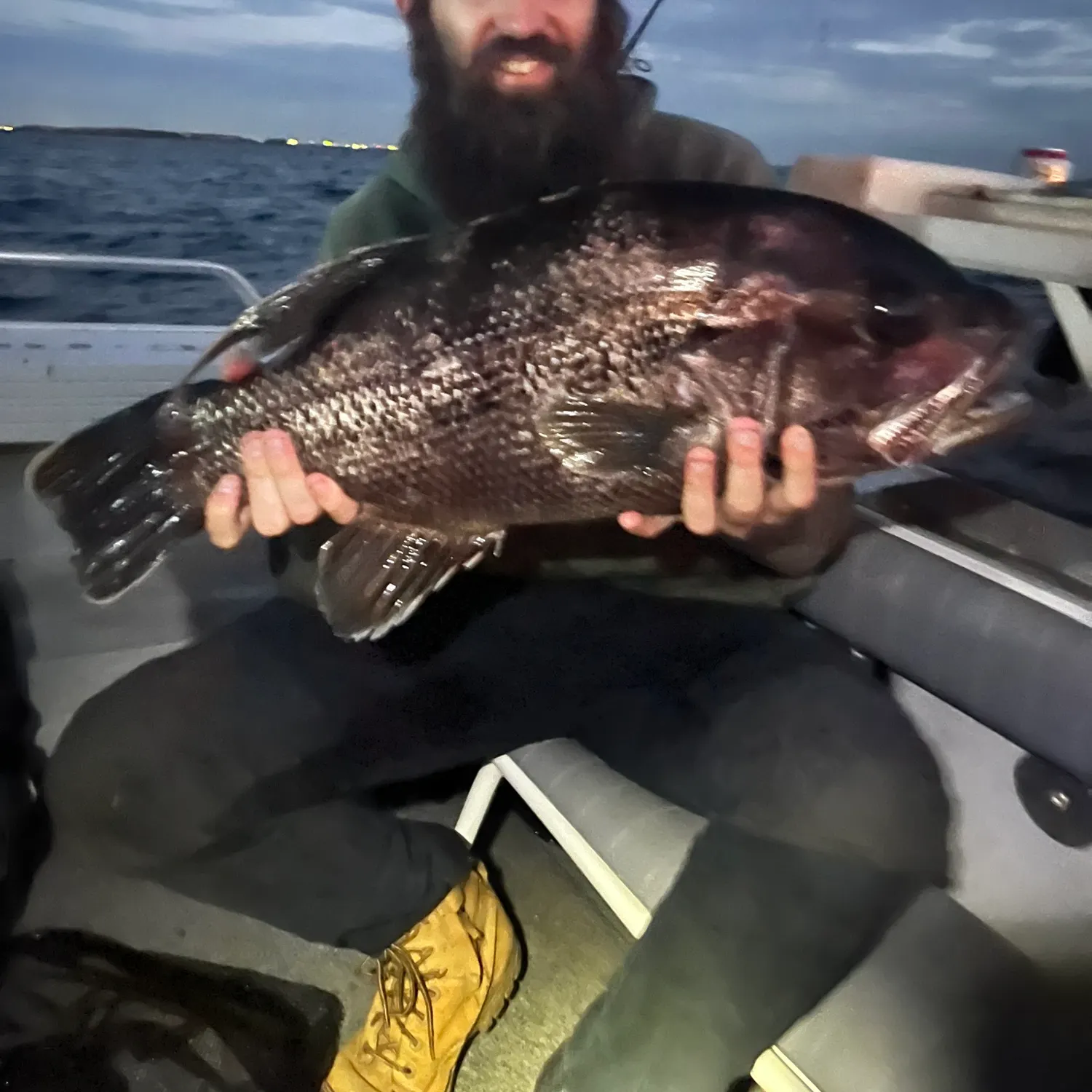 The most recent Westralian jewfish catches on Fishbrain