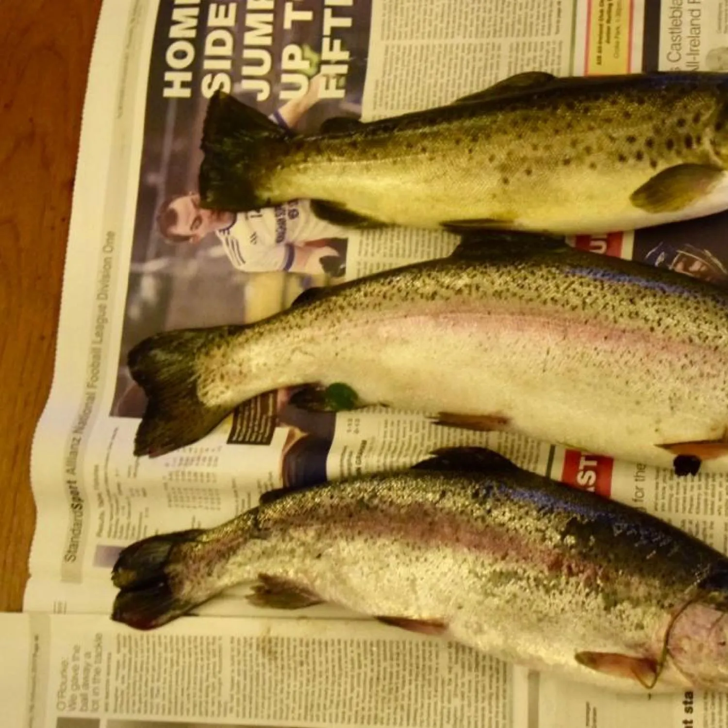 recently logged catches