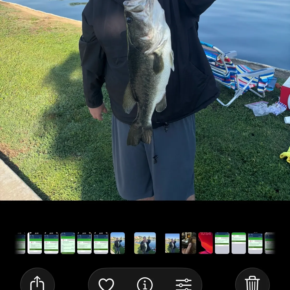 recently logged catches