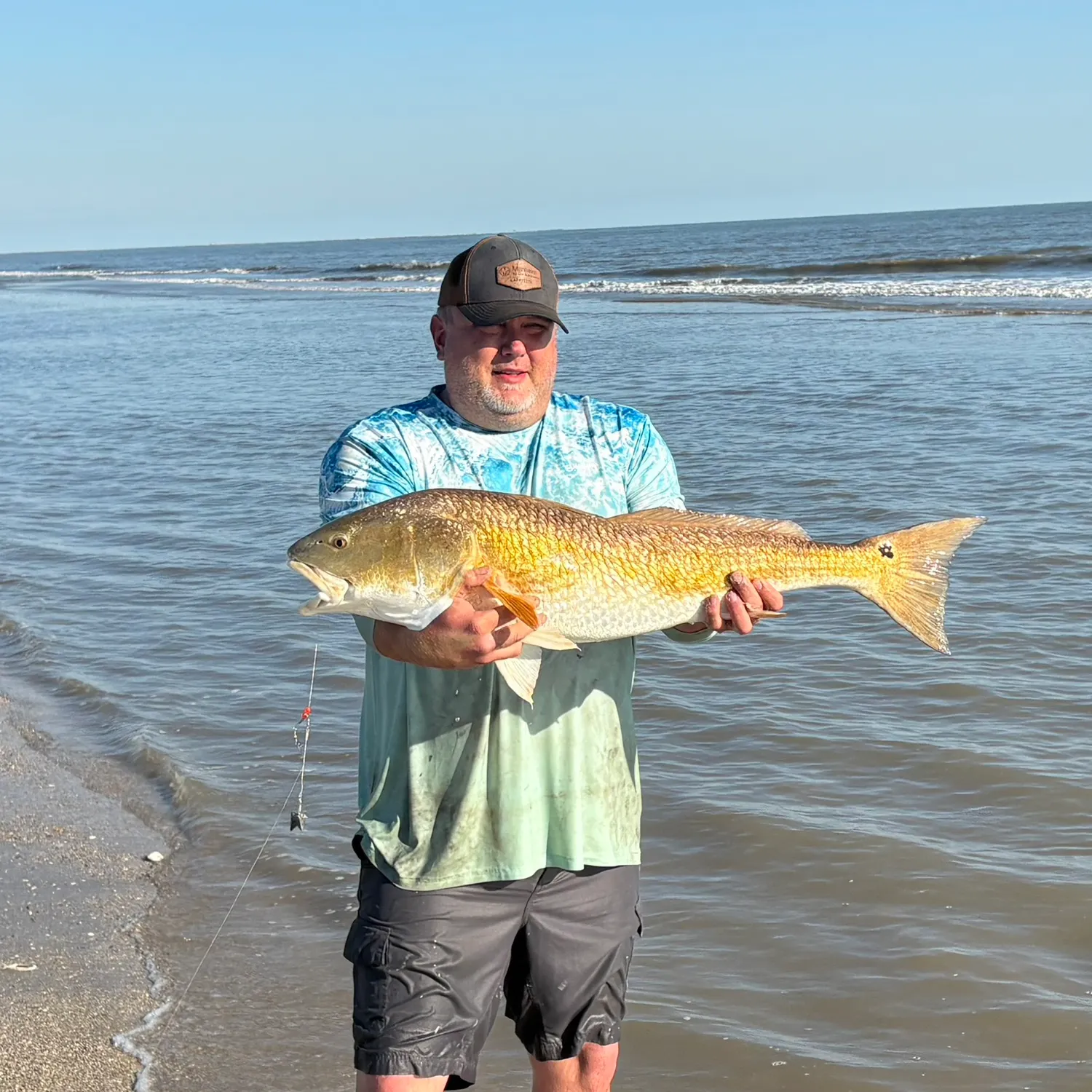 Red drum caught on Fishbrain