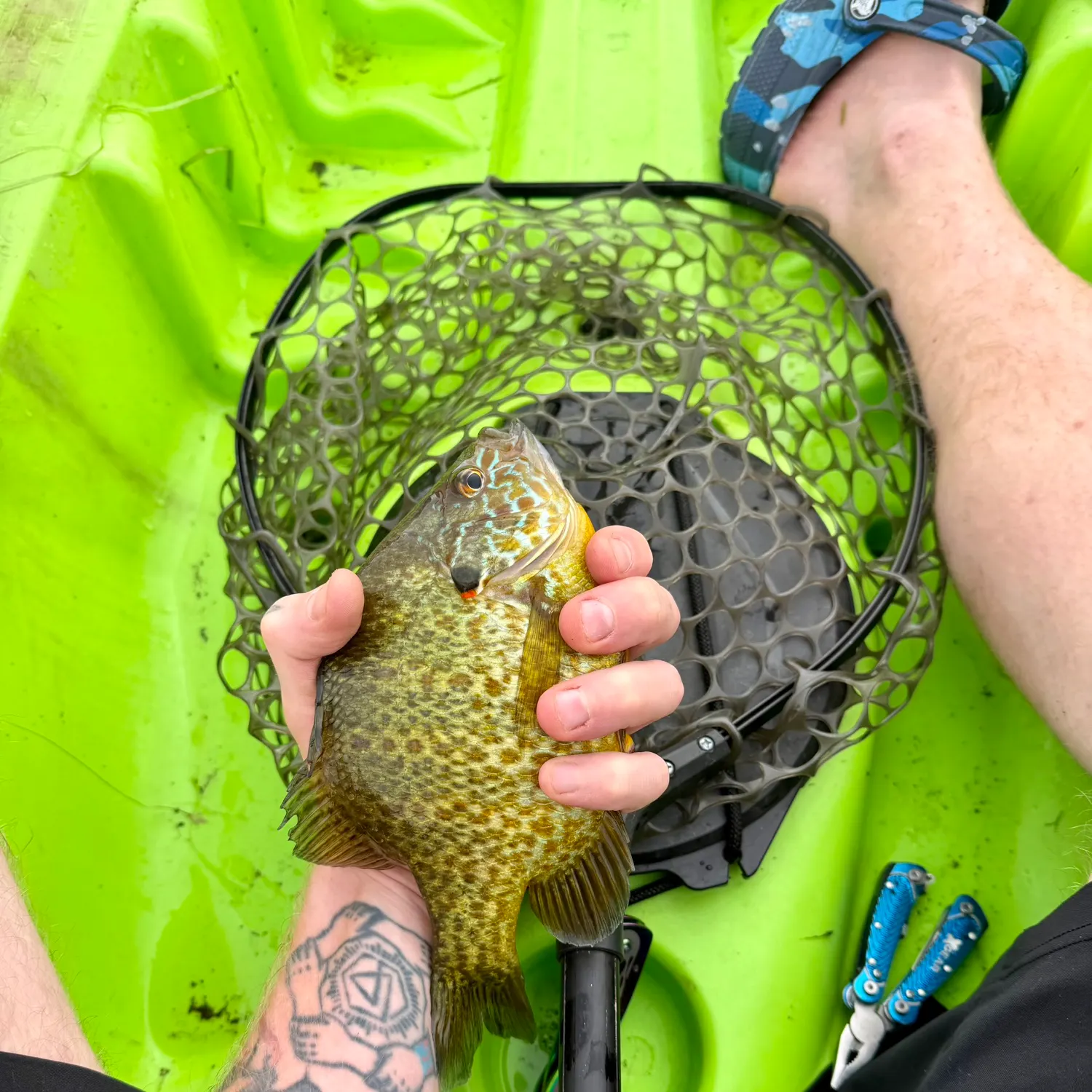 catch