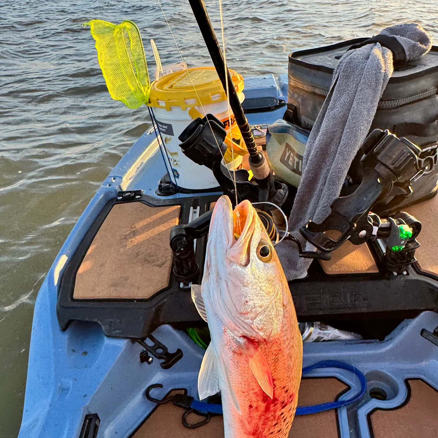 Spotted seatrout caught on Fishbrain