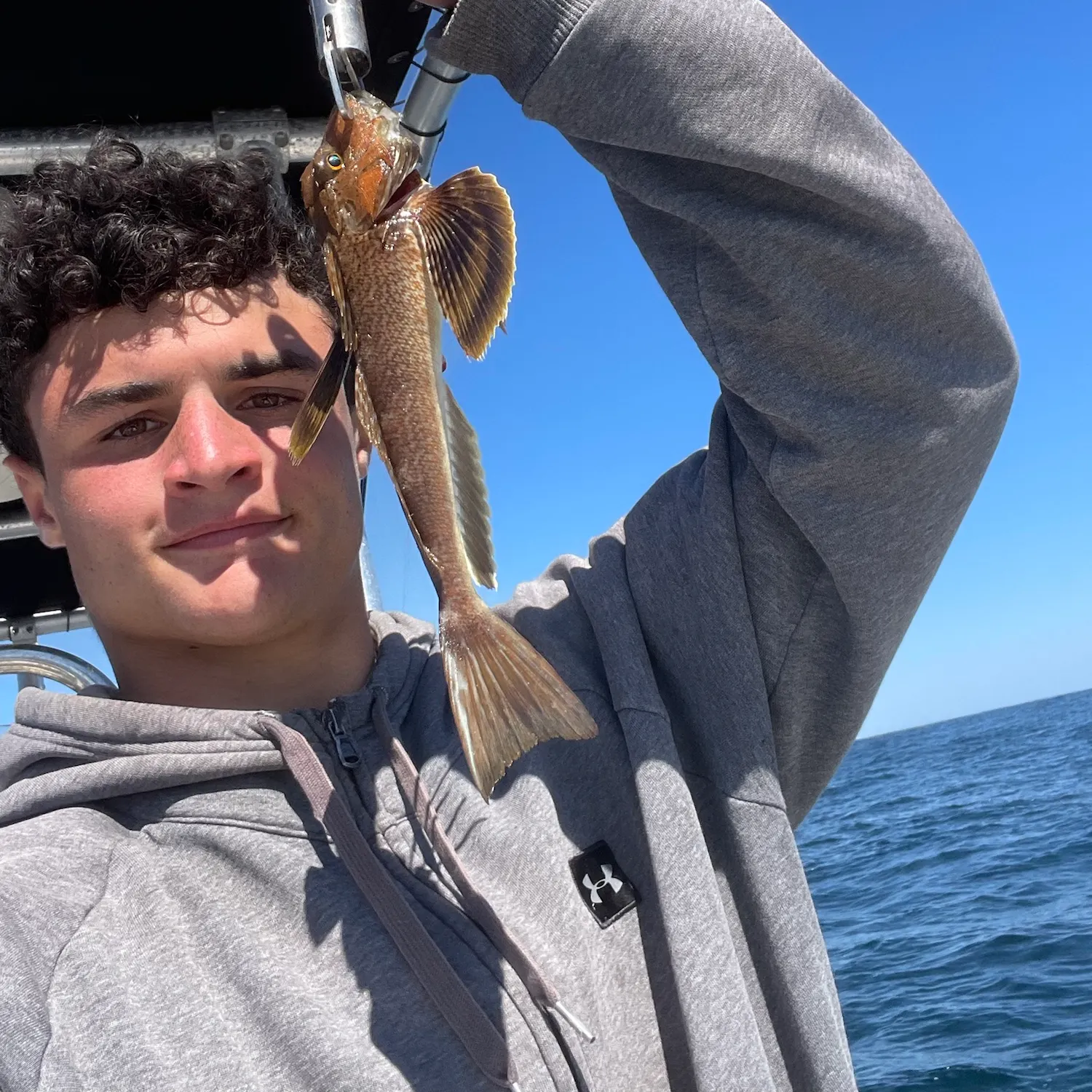 Striped searobin caught on Fishbrain