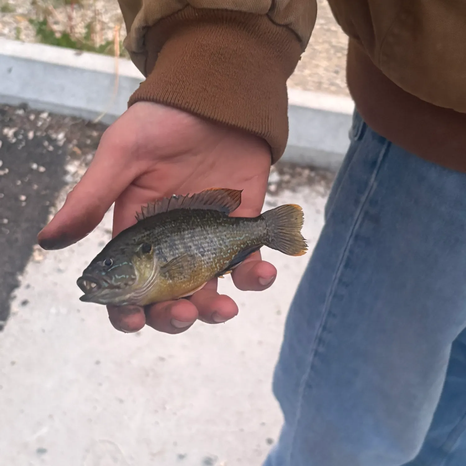 catch