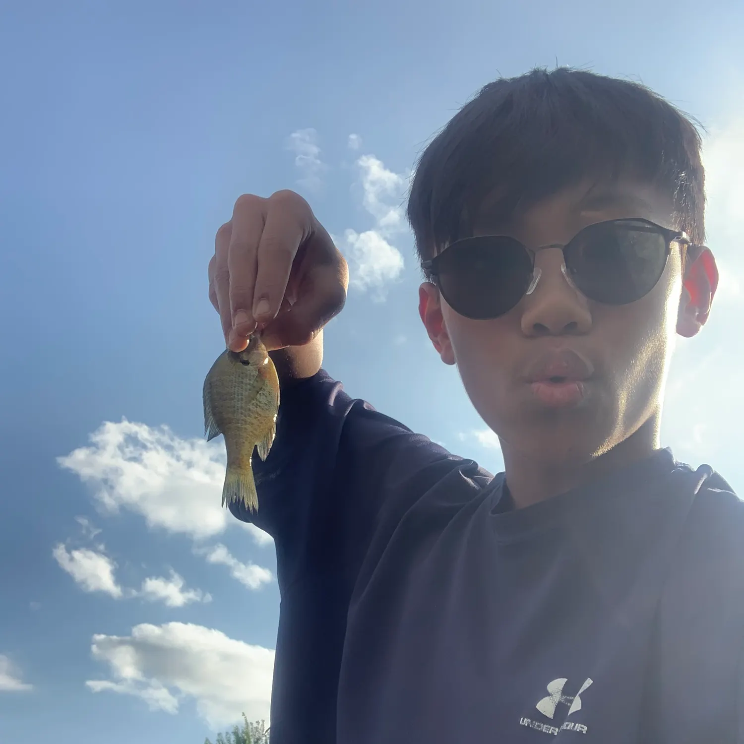Bluegill caught on Fishbrain