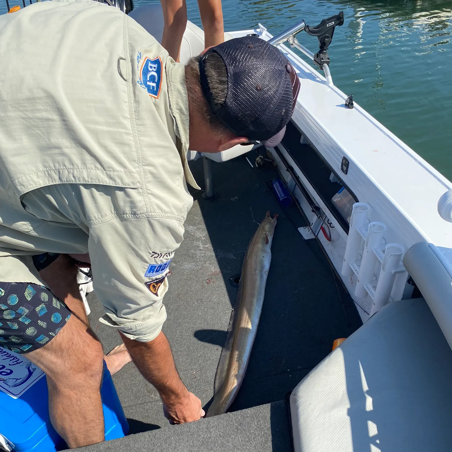 The most recent Common pike conger catches on Fishbrain