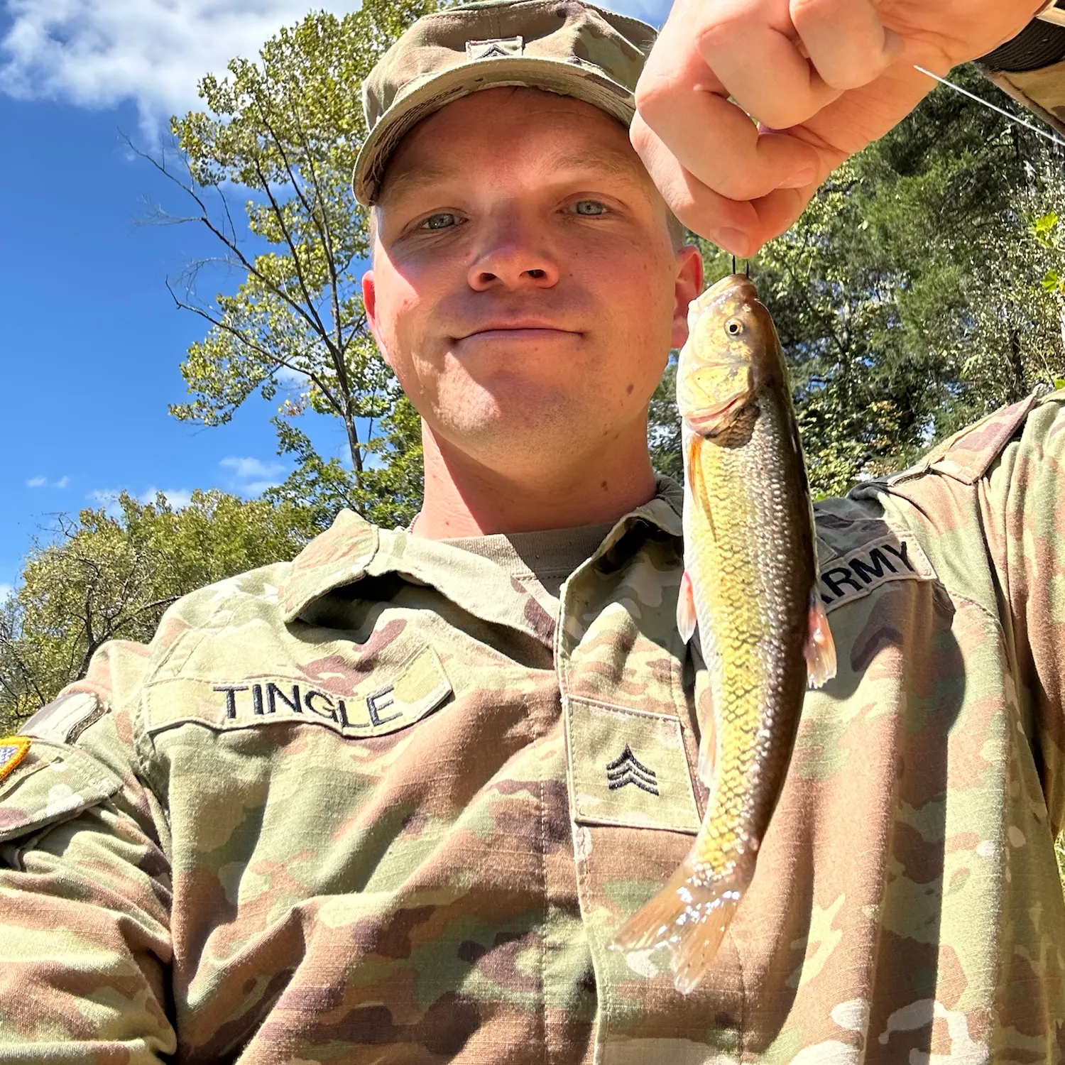 Creek chub caught on Fishbrain