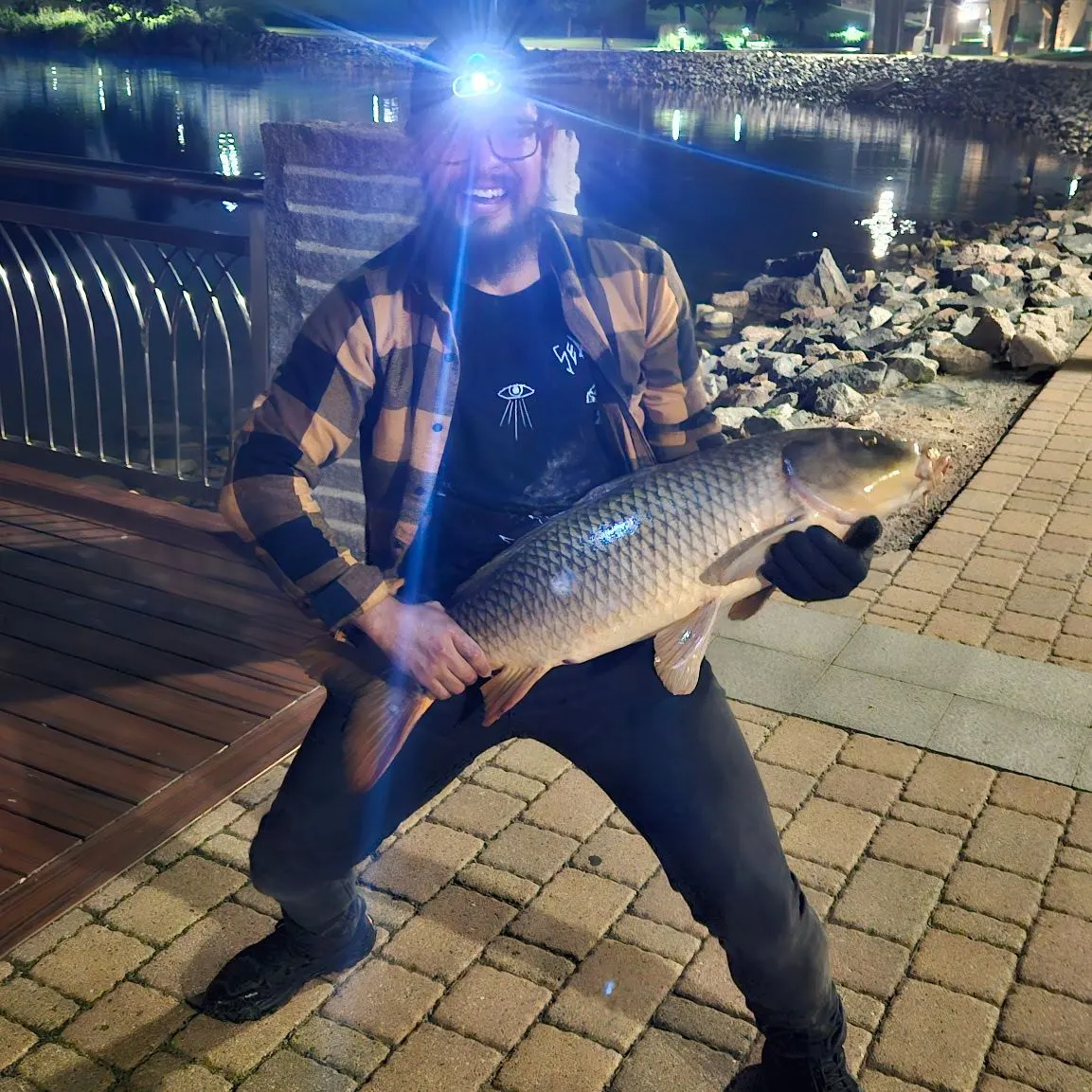 The most recent Common carp catches on Fishbrain