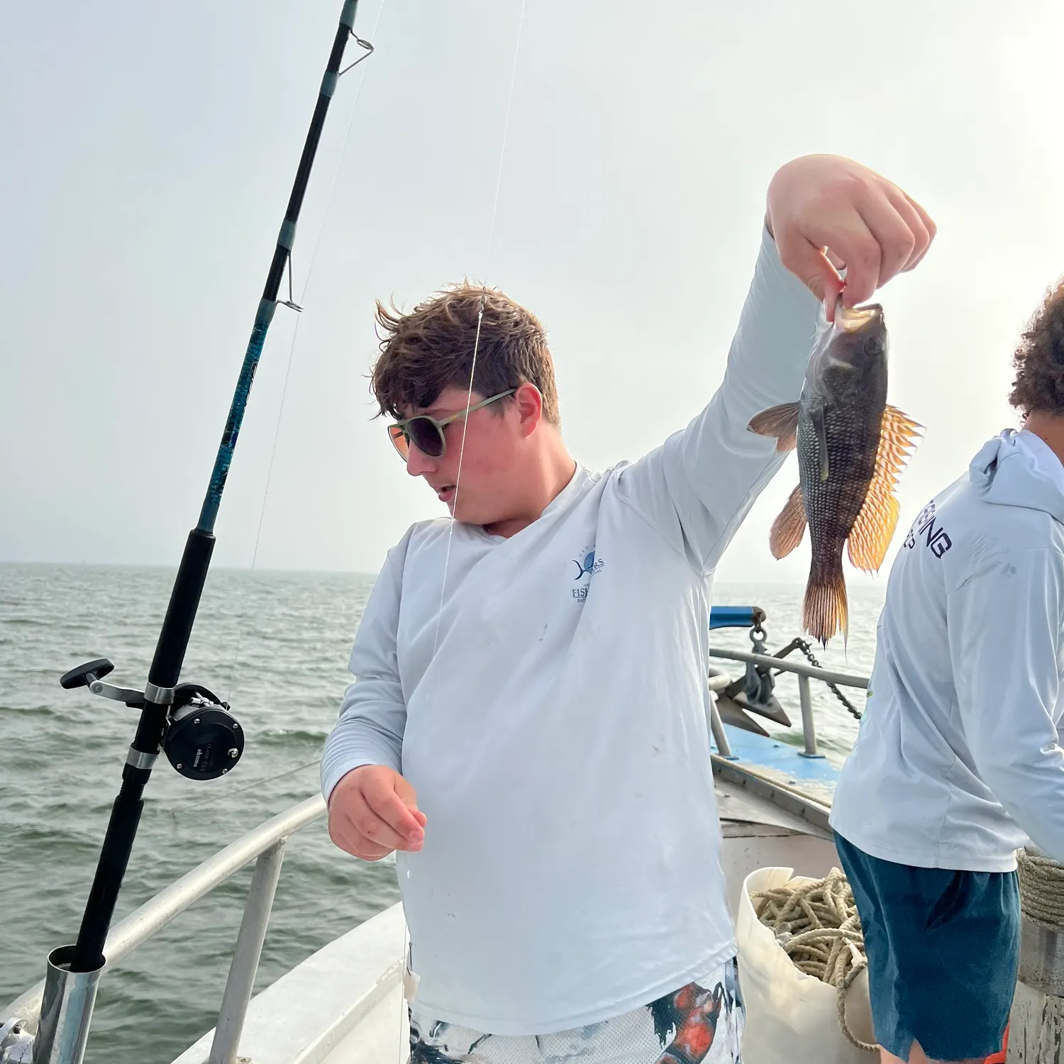 The most recent Black sea bass catches on Fishbrain
