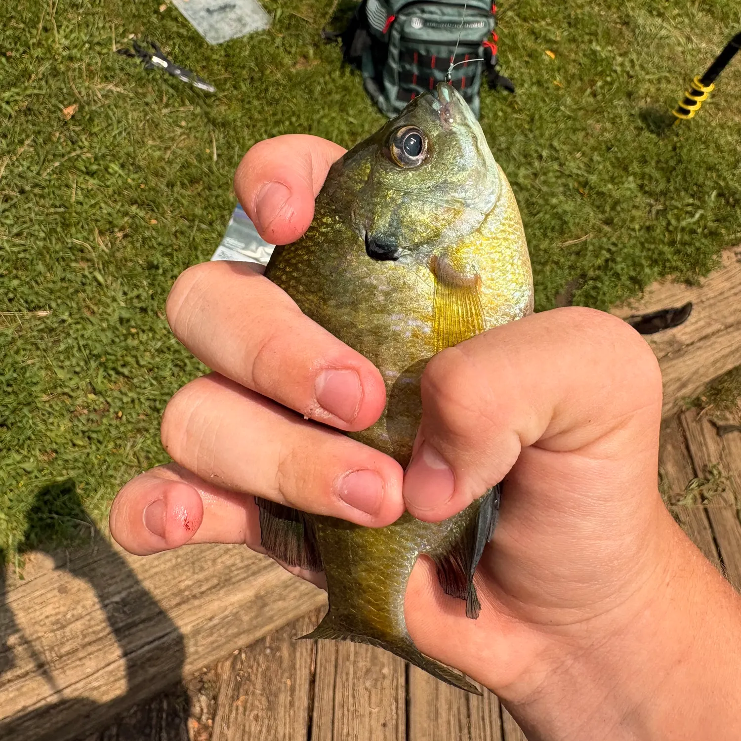 catch