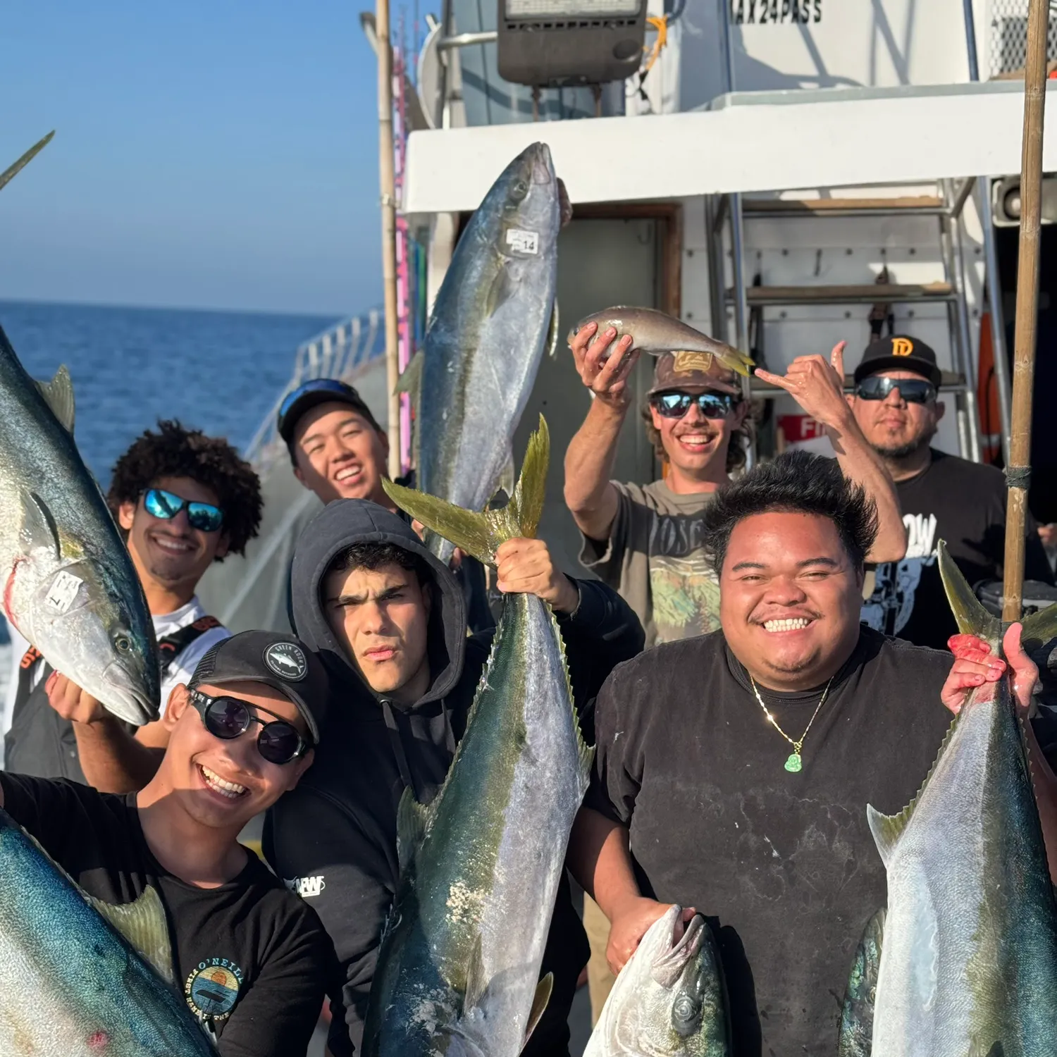 The most recent California yellowtail amberjack catches on Fishbrain
