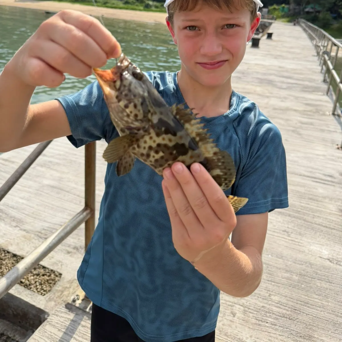 The most recent Orange-spotted grouper catches on Fishbrain